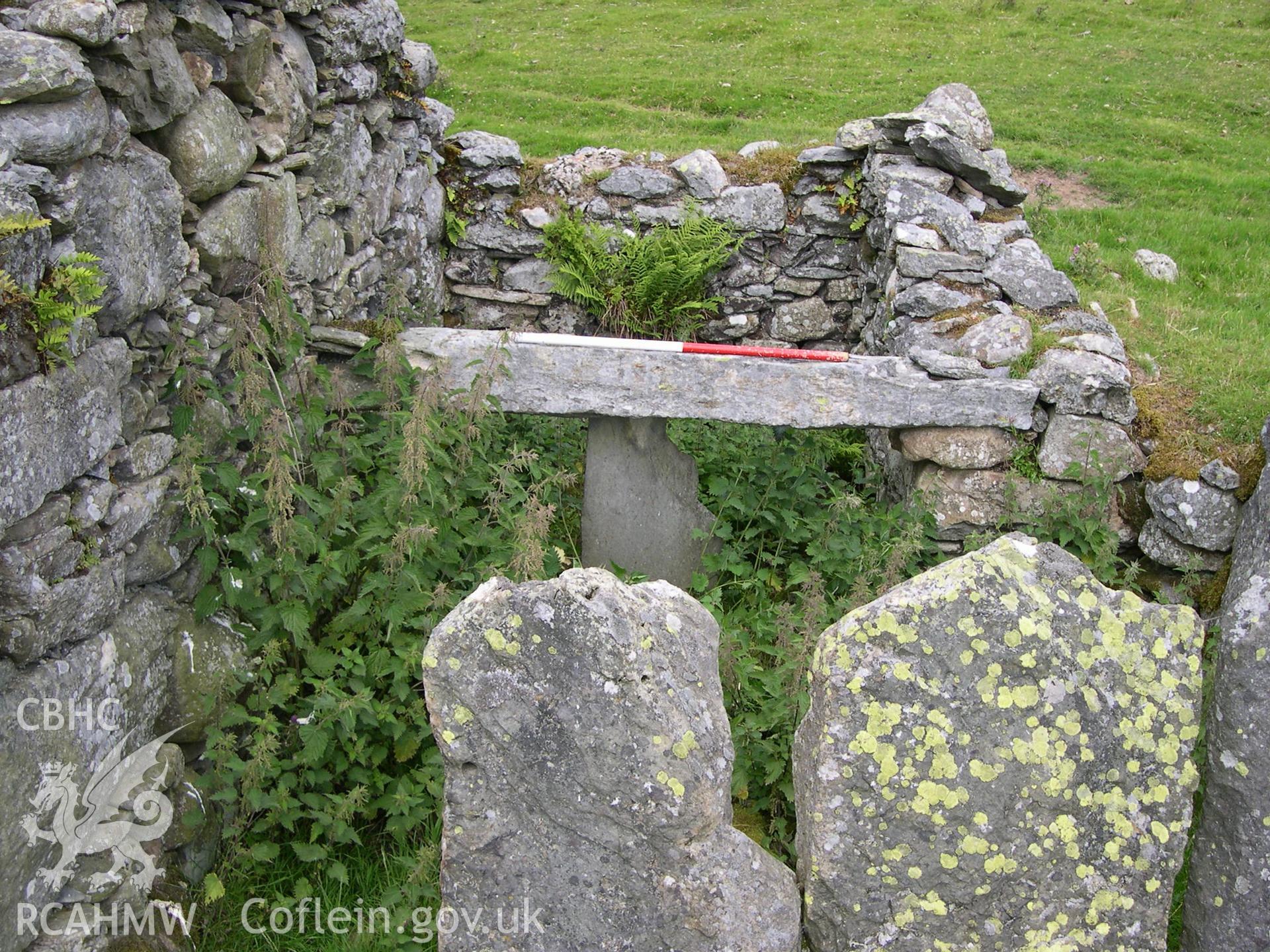 Digital photograph of Ffrith-y-bont Farmstead I from the North-west. Taken on 02/07/04 by A. Lane during the Eastern Snowdonia (Central) Upland Survey.