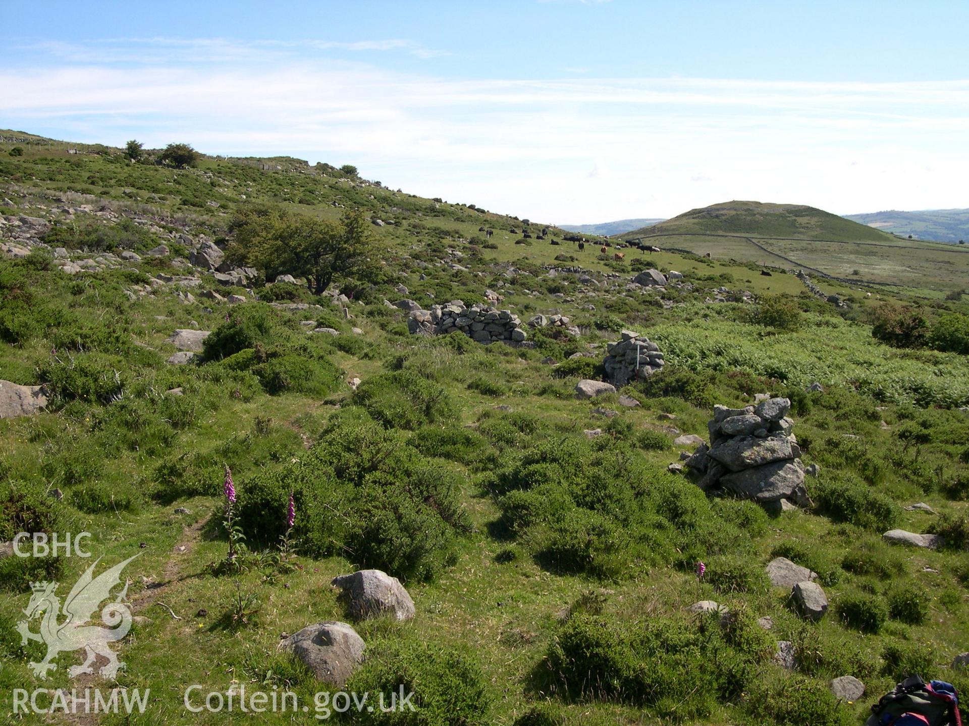 Digital photograph of Bwlch-y-gaer Clearance Cairns I from the East. Taken on 21/06/04 by A. Lane during the Eastern Snowdonia (Central) Upland Survey.