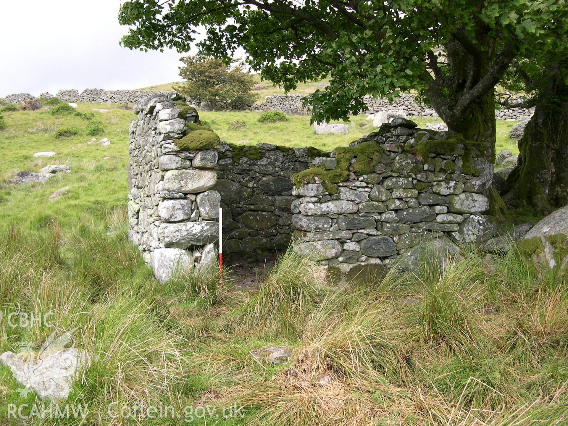 Digital photograph of Ffrith-y-bont Farmstead I from the North-west. Taken on 02/07/04 by A. Lane during the Eastern Snowdonia (Central) Upland Survey.