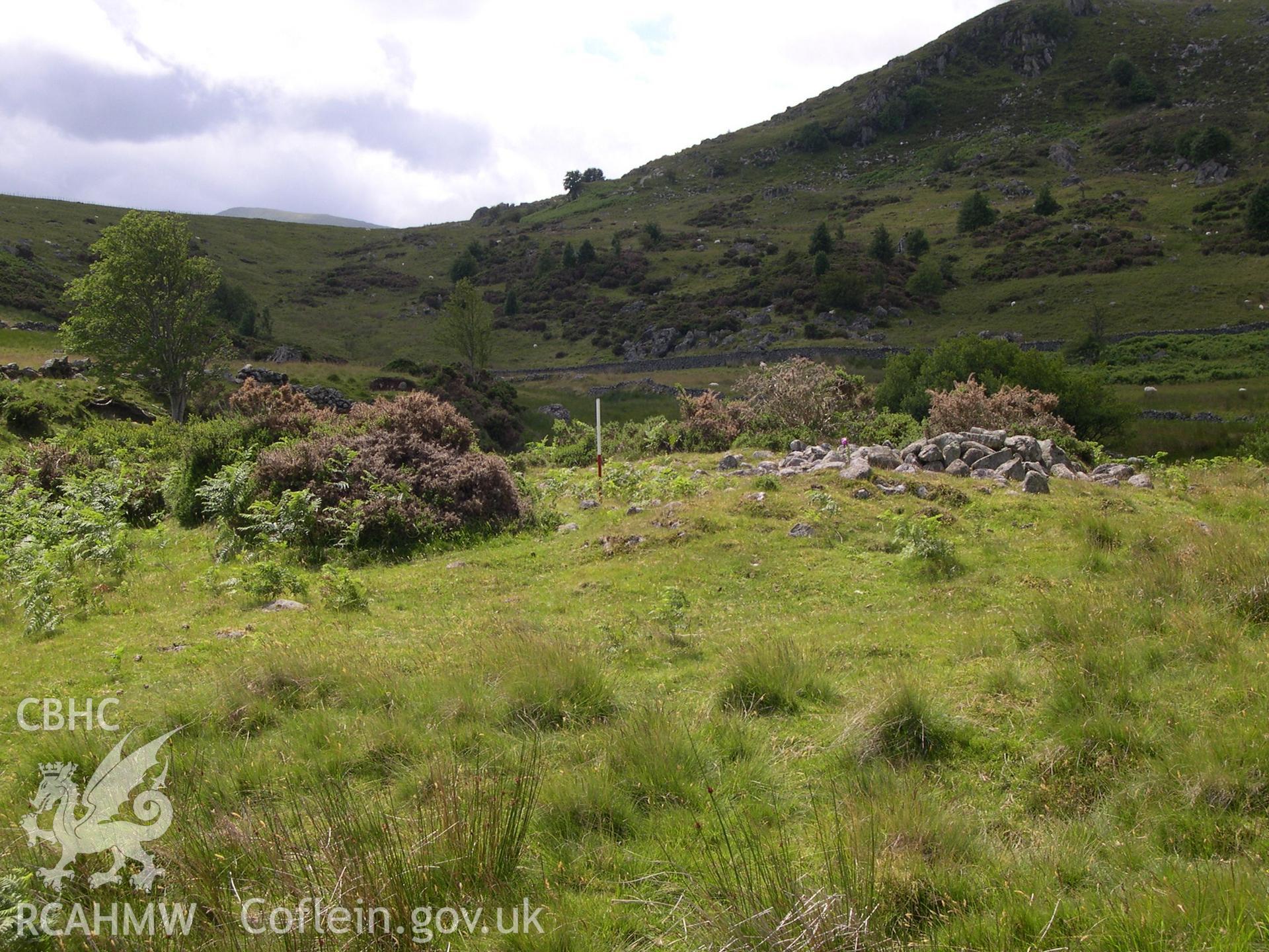 Digital photograph of Afon Dulyn Hut Circle from the South. Taken on 02/07/04 by A. Lane during the Eastern Snowdonia (Central) Upland Survey.