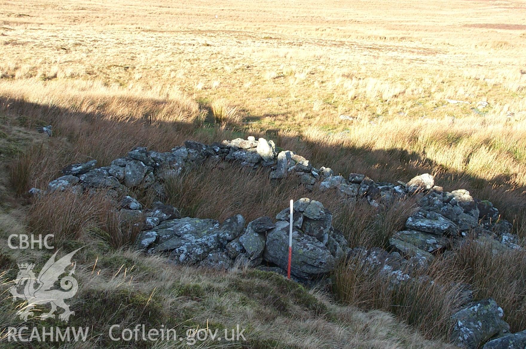 Digital photograph of Afon Glan-sais Sheep Shelter III from the North. Taken by P. Schofield on 22/01/2004 during the Eastern Snowdonia (North) Upland Survey.