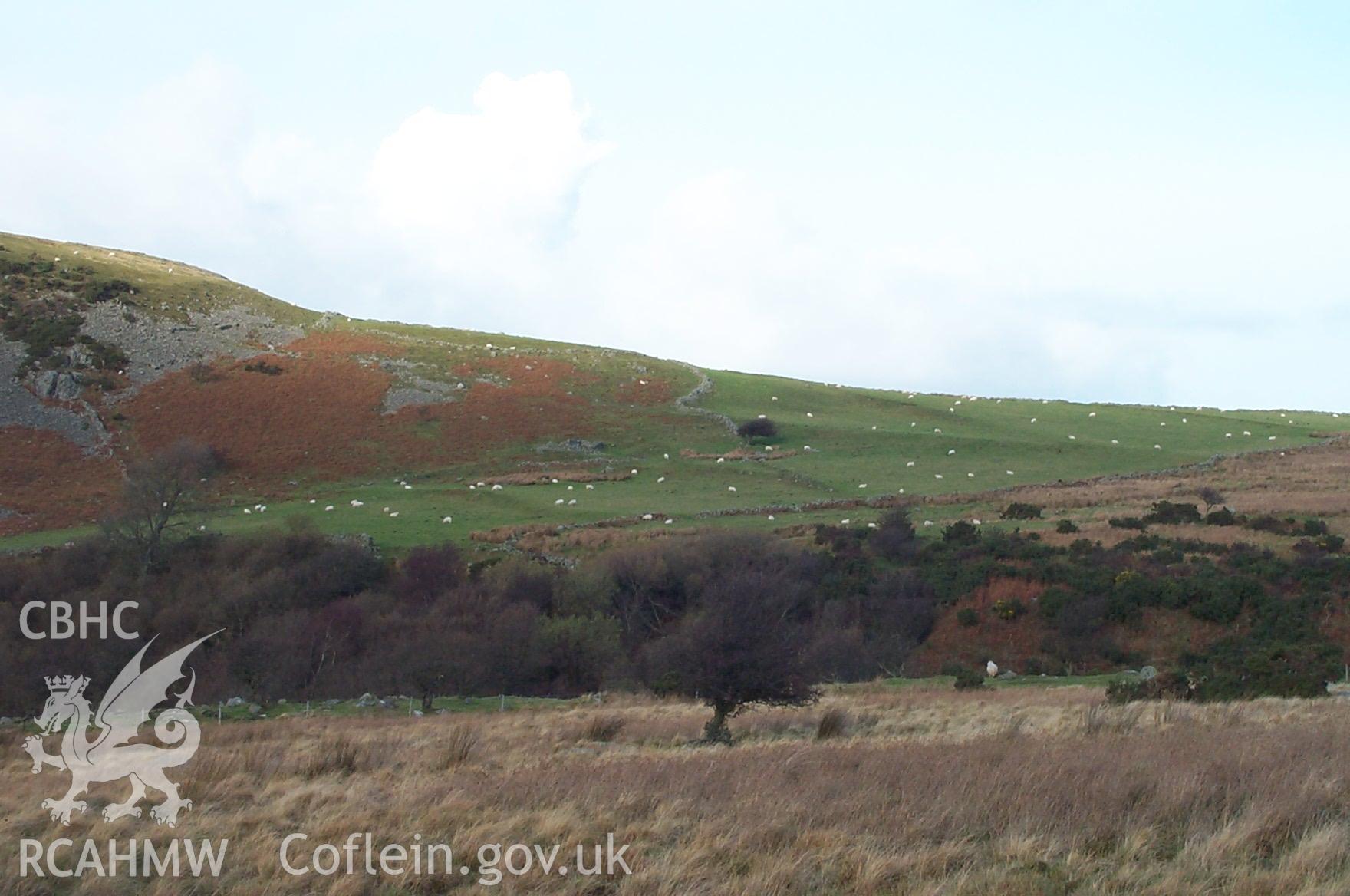 Digital photograph of Maes-y-bryn Lynchets from the North. Taken by P. Schofield on 22/11/2003 during the Eastern Snowdonia (North) Upland Survey.