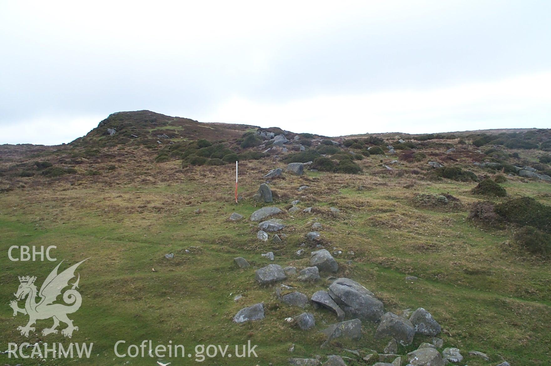 Digital photograph of Ffriddlys Enclosure from the West. Taken by P. Schofield on 19/02/2004 during the Eastern Snowdonia (North) Upland Survey.
