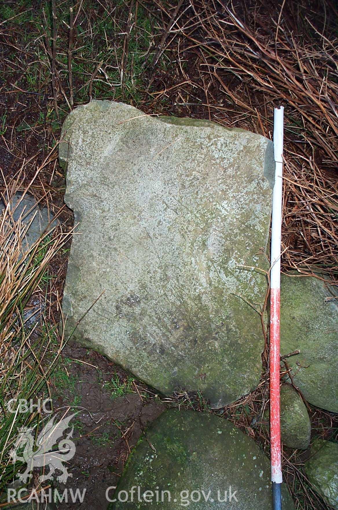 Digital photograph of Ffridd Newydd Incised Stone from the South-east. Taken by P. Schofield on 21/01/2004 during the Eastern Snowdonia (North) Upland Survey.