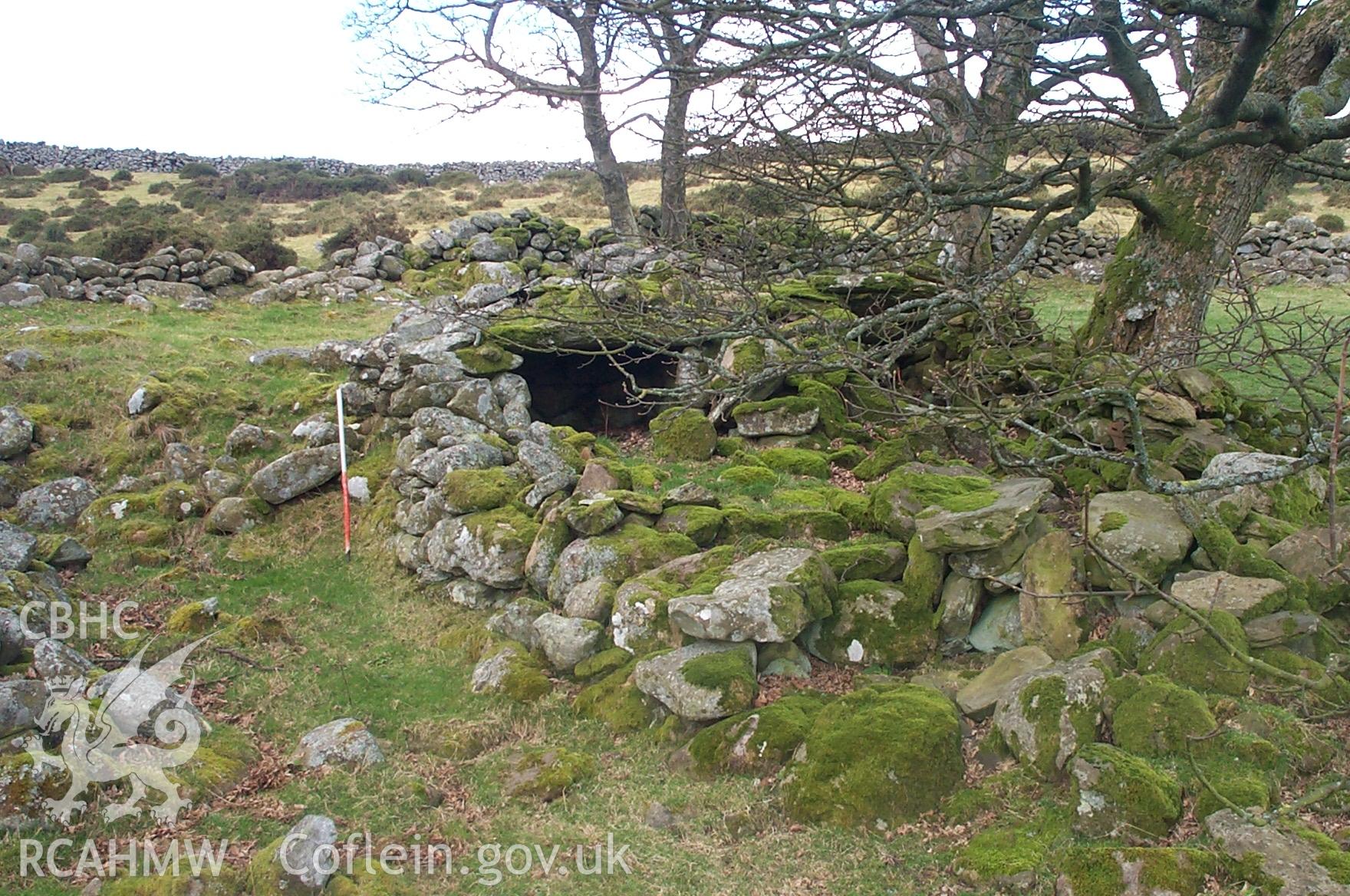 Digital photograph of Ffriddlys Farmstead I from the North. Taken by P. Schofield on 19/02/2004 during the Eastern Snowdonia (North) Upland Survey.