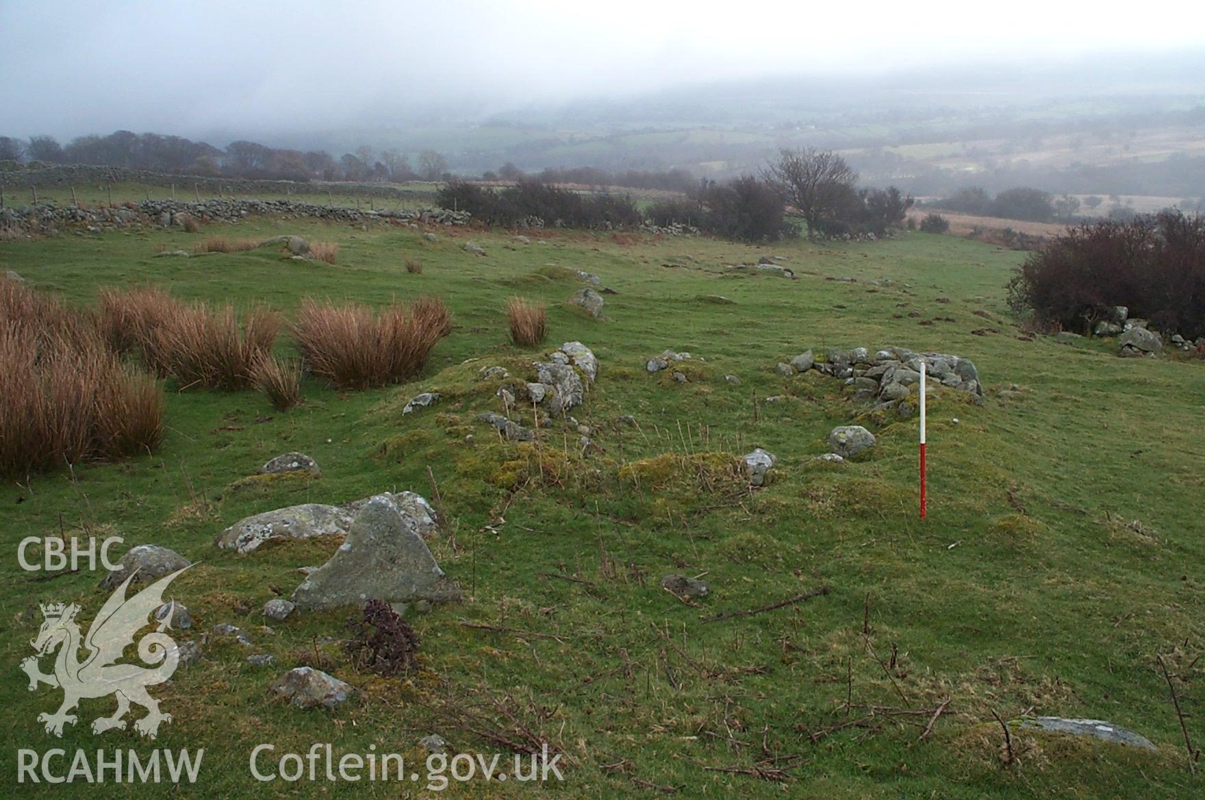 Digital photograph of Enclosure Rowen from the South. Taken by P. Schofield on 30/03/2004 during the Eastern Snowdonia (North) Upland Survey.