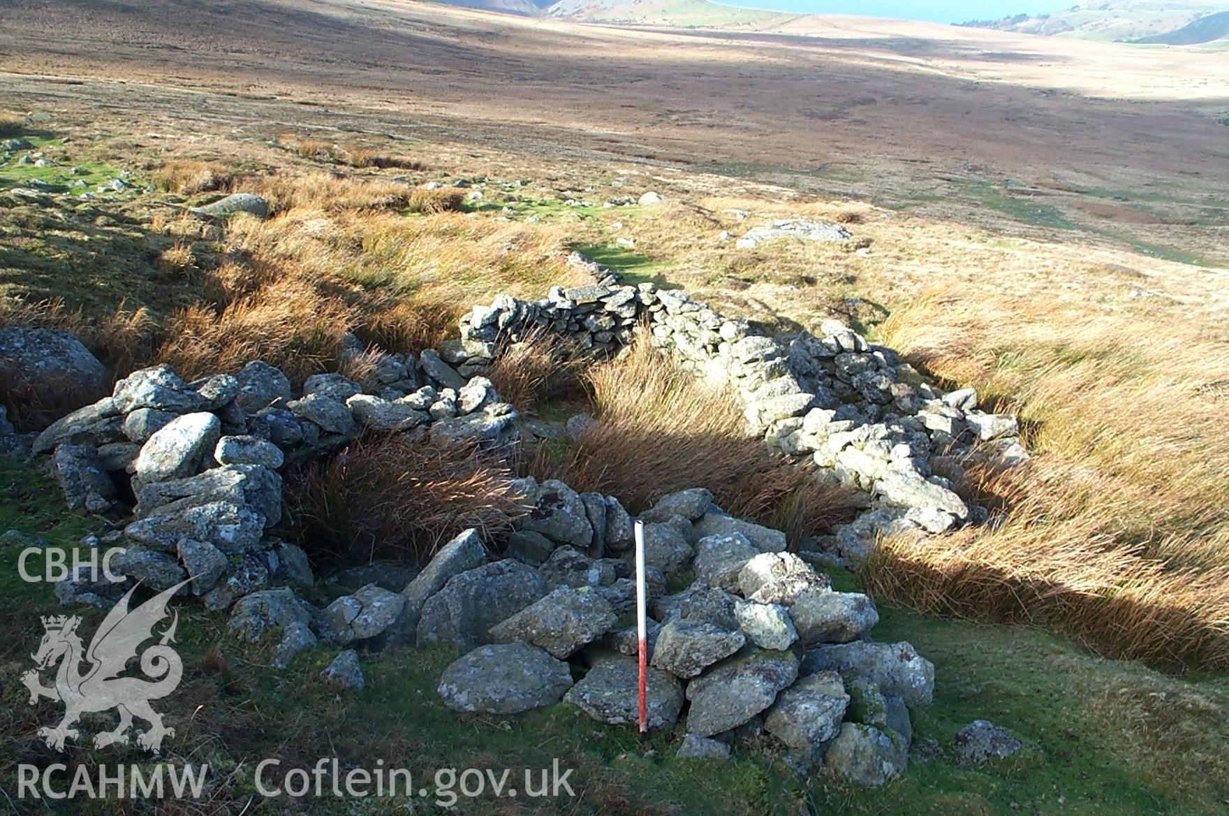 Digital photograph of Cerrig Gwynion Sheep Fold I from the West. Taken by P. Schofield on 06/02/2004 during the Eastern Snowdonia (North) Upland Survey.