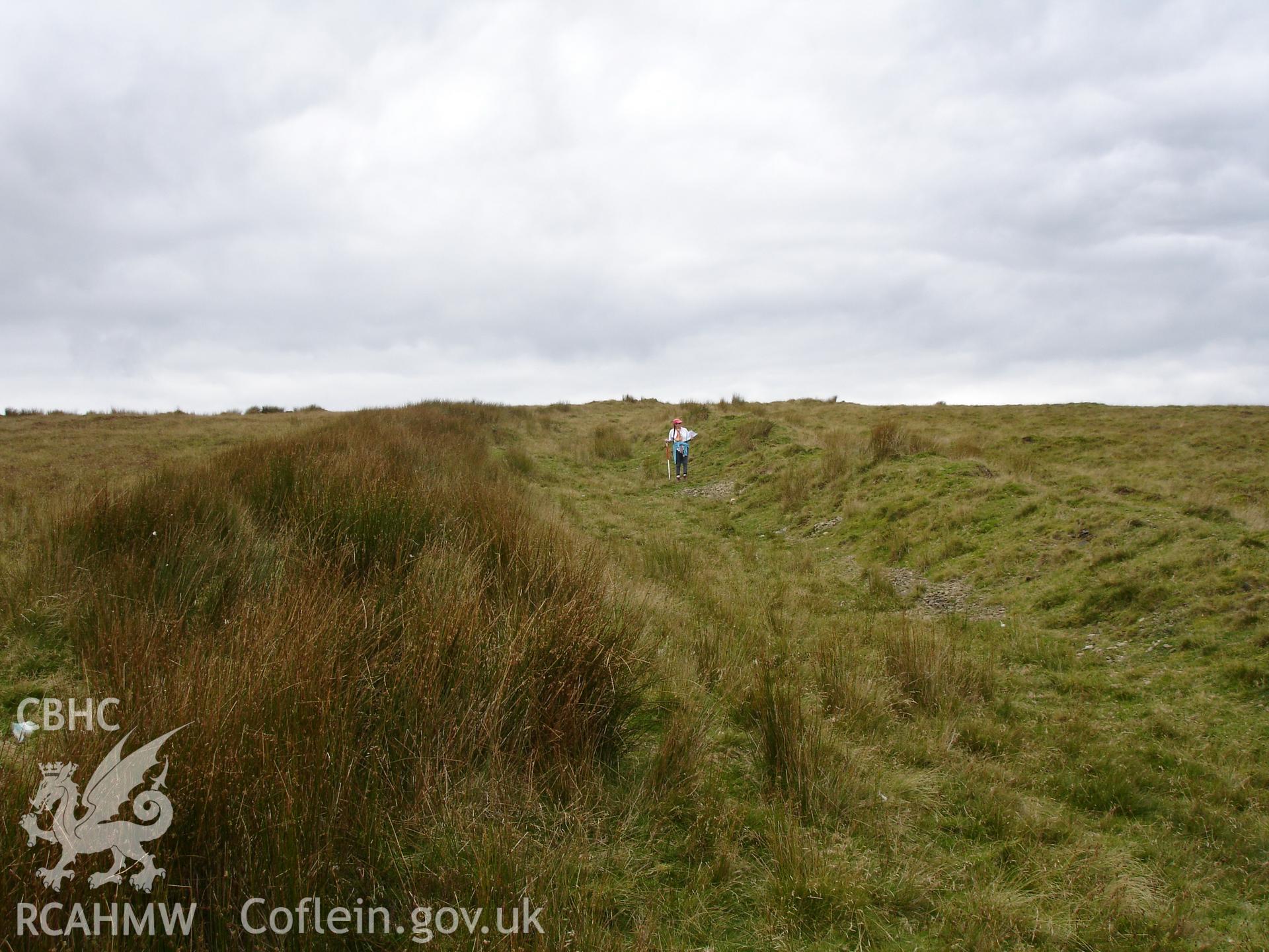 Southeastern part of earthwork, looking north, taken from about SO18516302