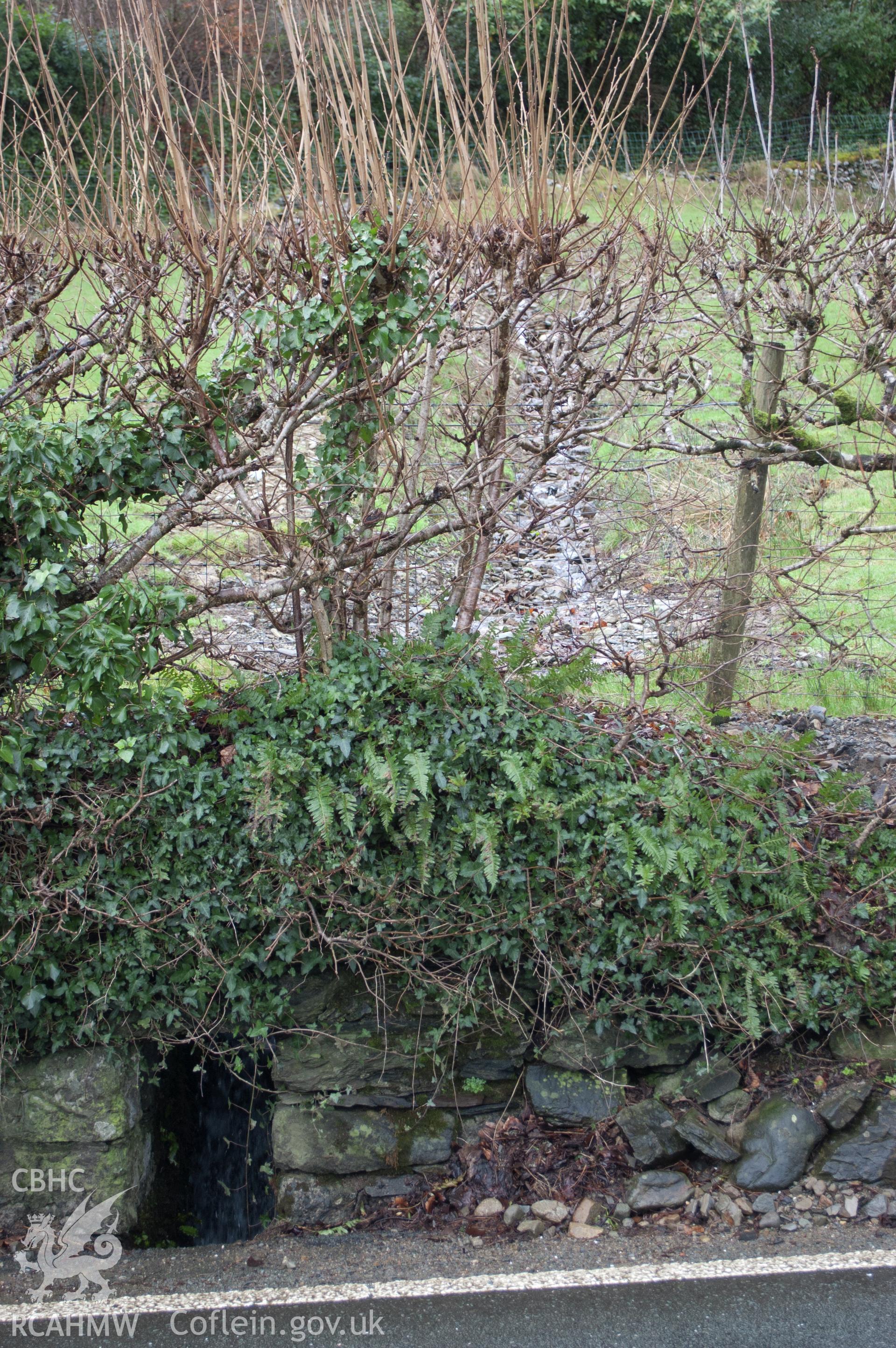 Marian Mawr archaeological assessment; section B-C, view from ENE showing modern drainage channel [Feature 3] debouching into watercourse by the road,  taken by Robert Evans of Gwynedd Archaeological Trust, 5th February 2016.