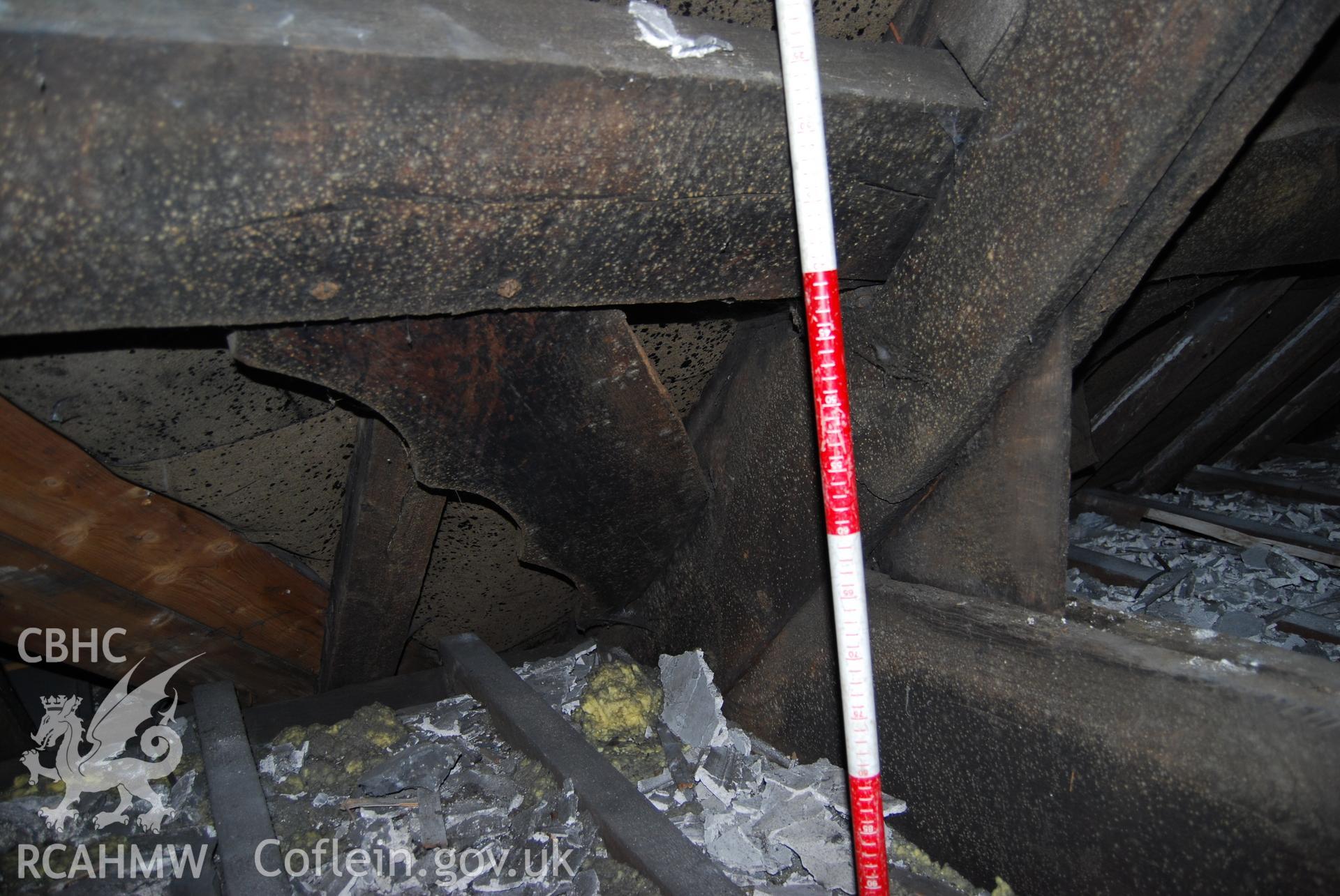 Colour digital photograph showing purlins and a wind brace attached to the West of roof truss number four, showing oak planking. The photograph was taken at Ty Eiddew, Harlech, as part of the North West Wales Dendrochronology Project.