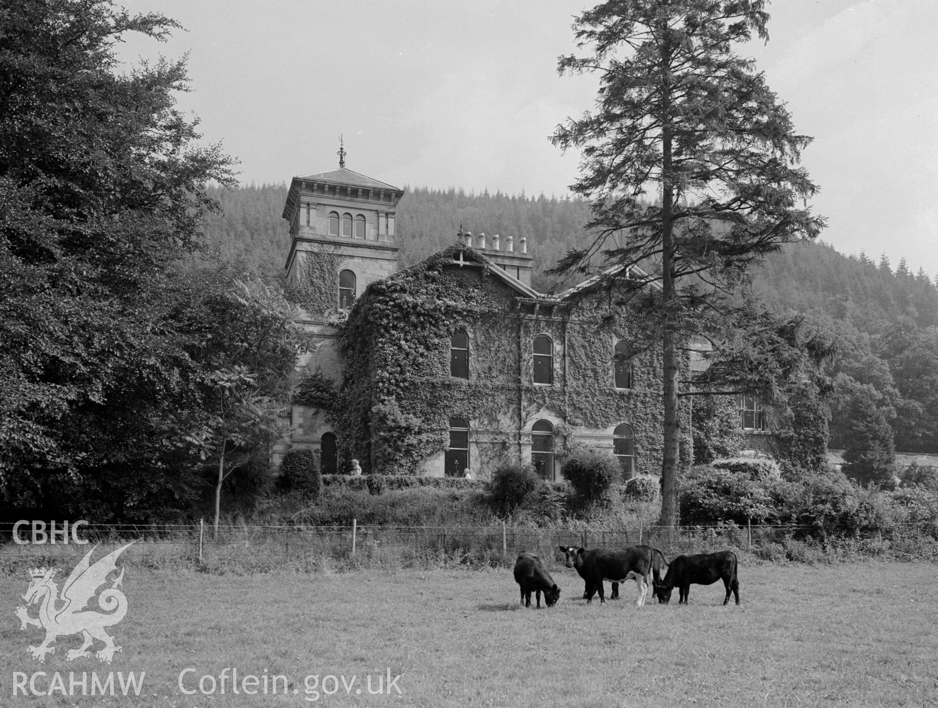 Coed-y-Celyn from the west.