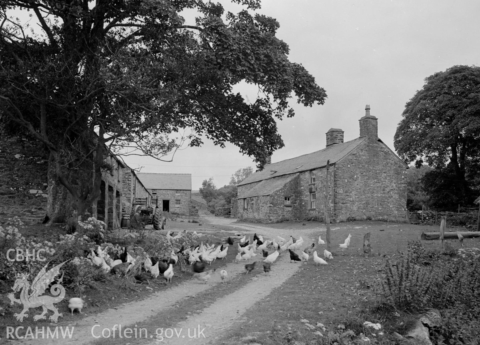 Black and white photographic survey of Bryniau Brithion, Pentrefoelas, produced by George Bernard Mason as part of the National Buildings Record