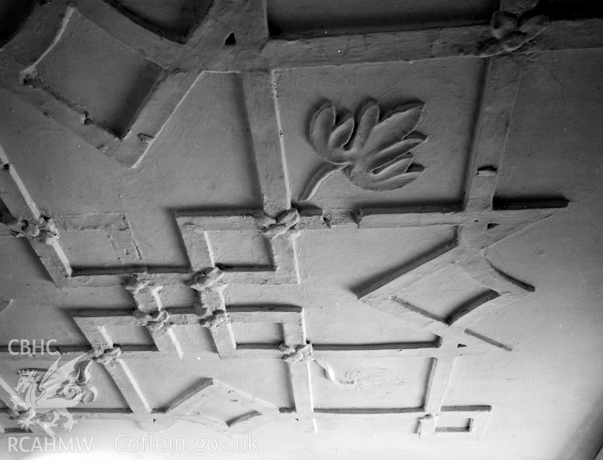 A photograph of a plasterwork ceiling.