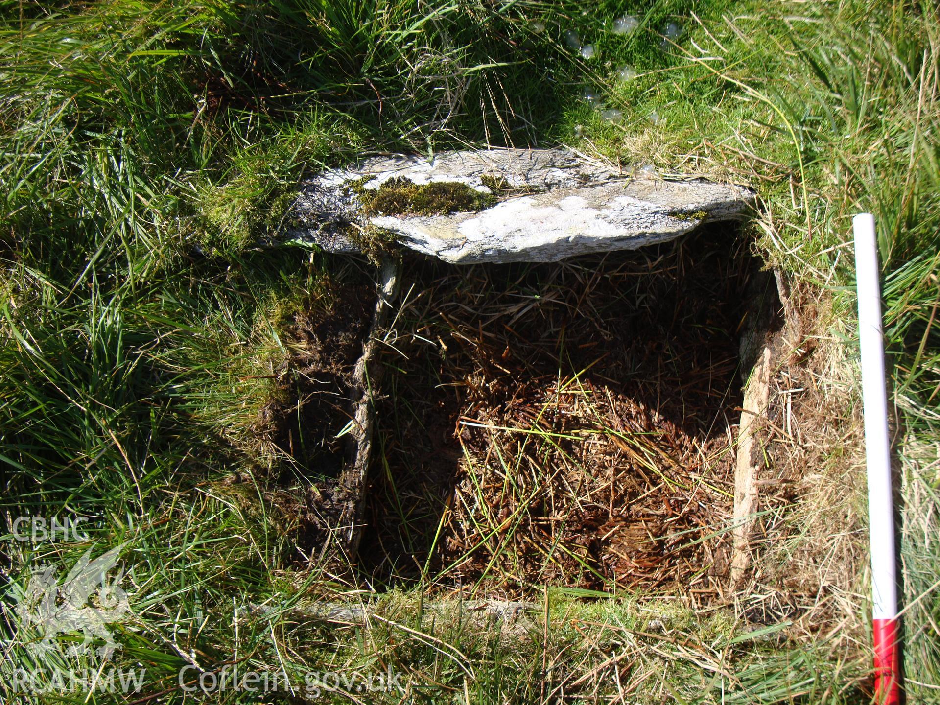 Detail of cist.