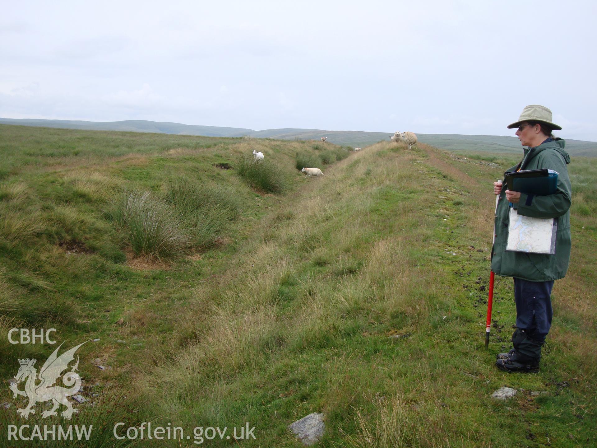 Section of leat on Moelfryn at SN8946966376, looking north northeast.