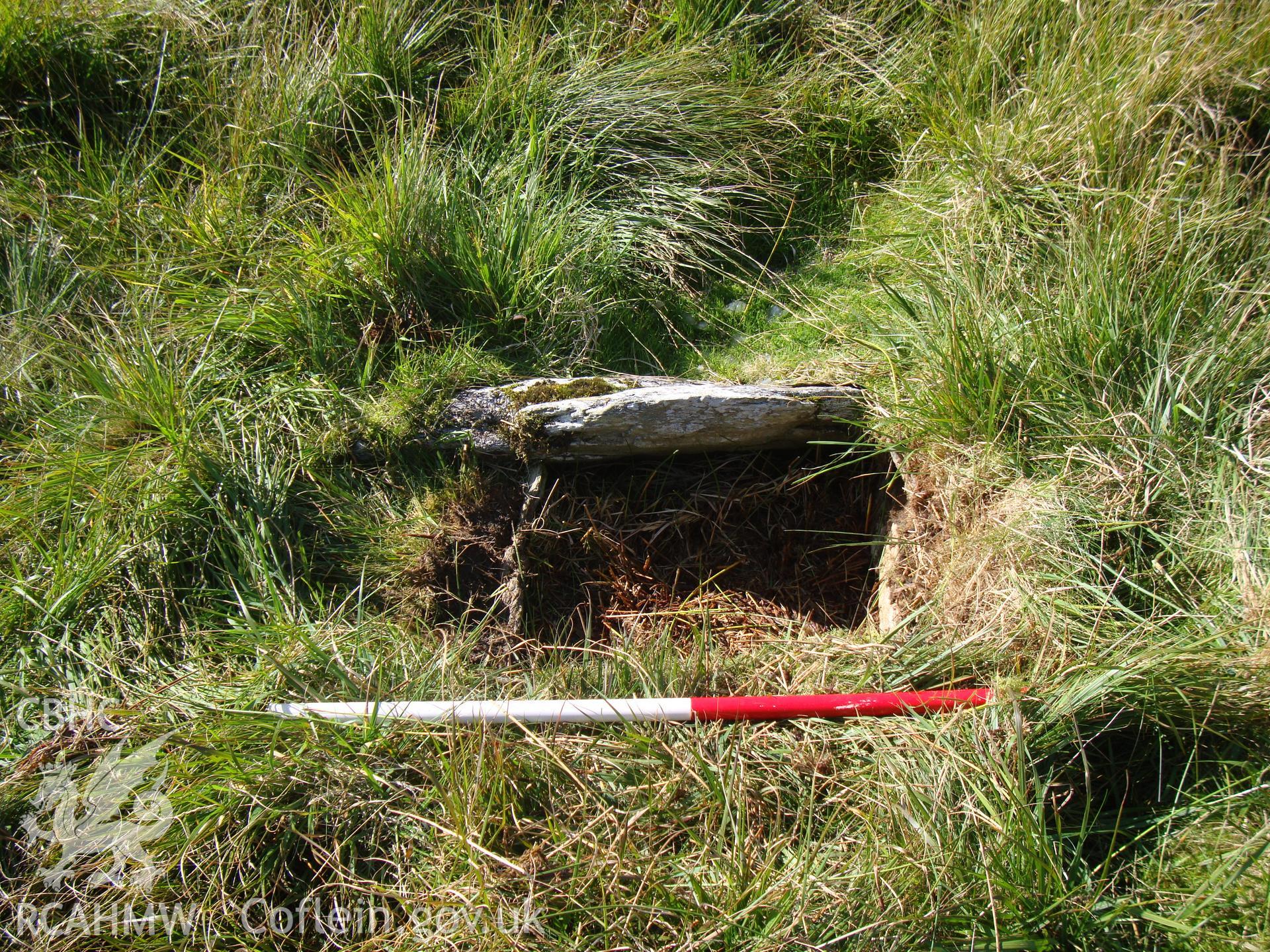Cist, looking west.