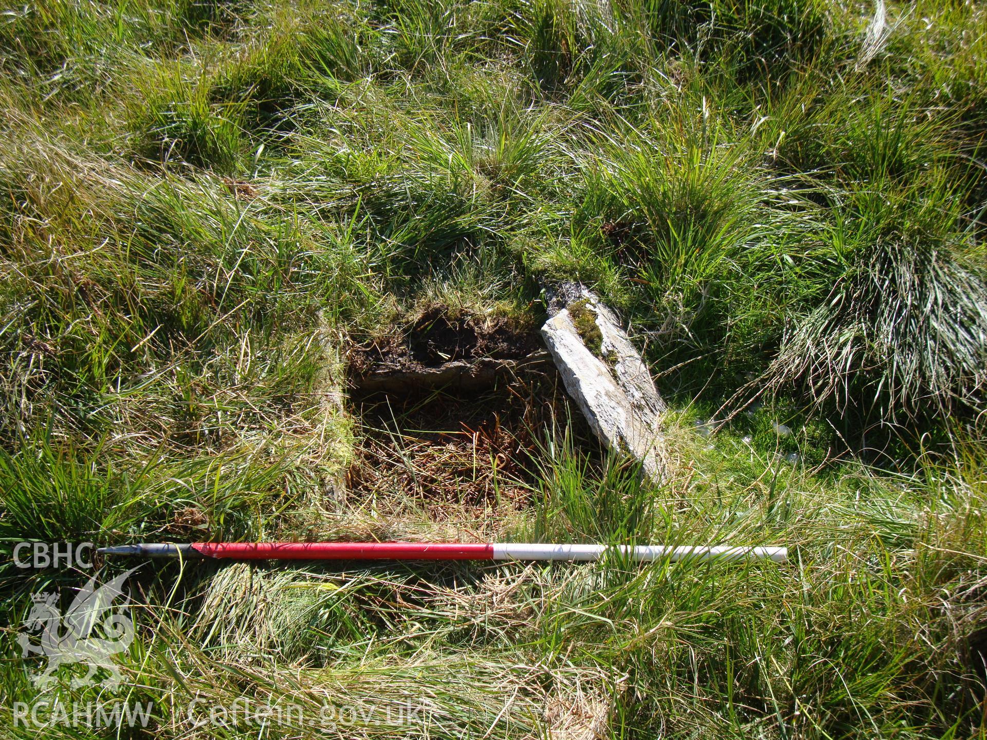 Cist, looking south.