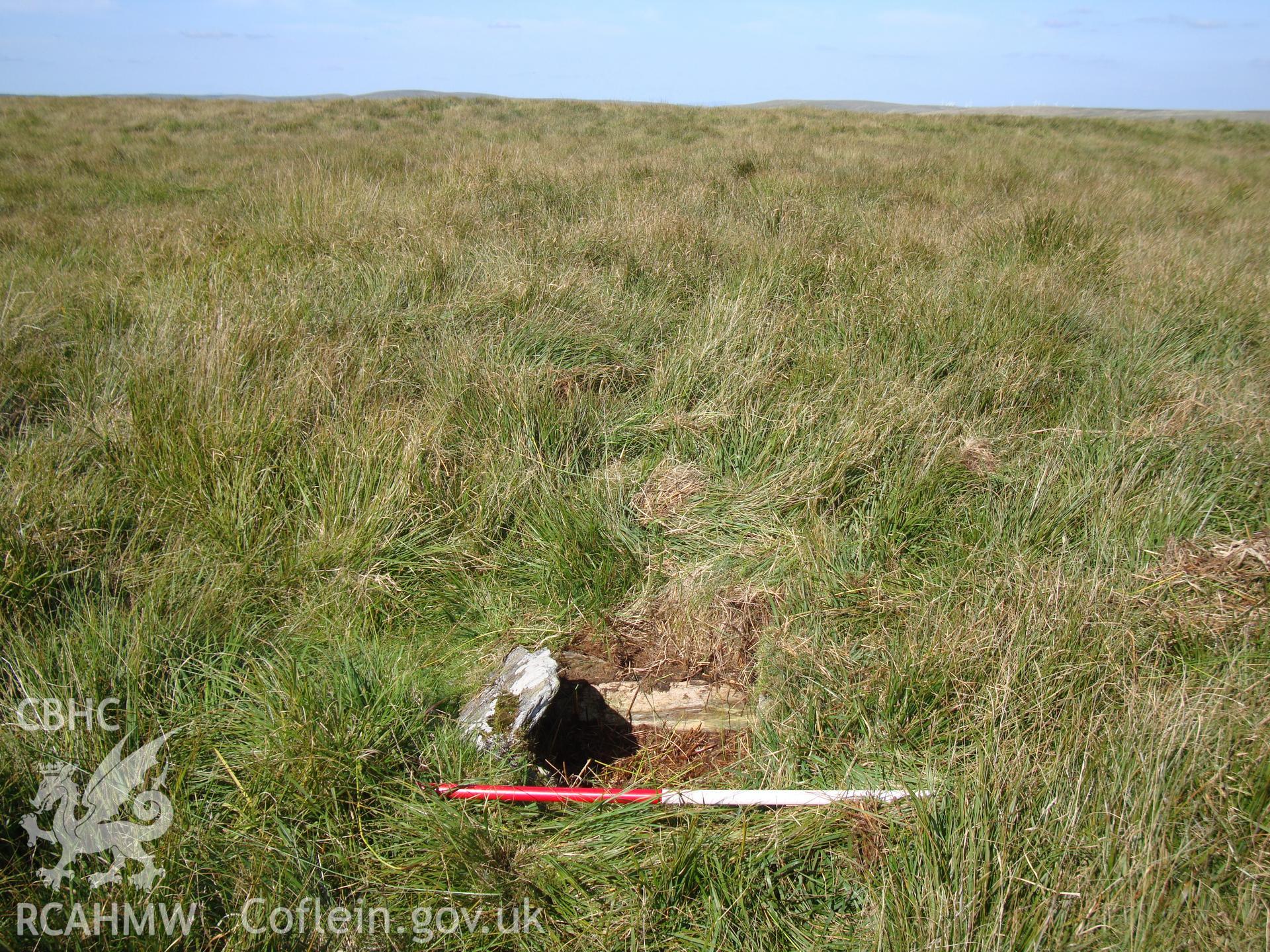 Cist, looking north.