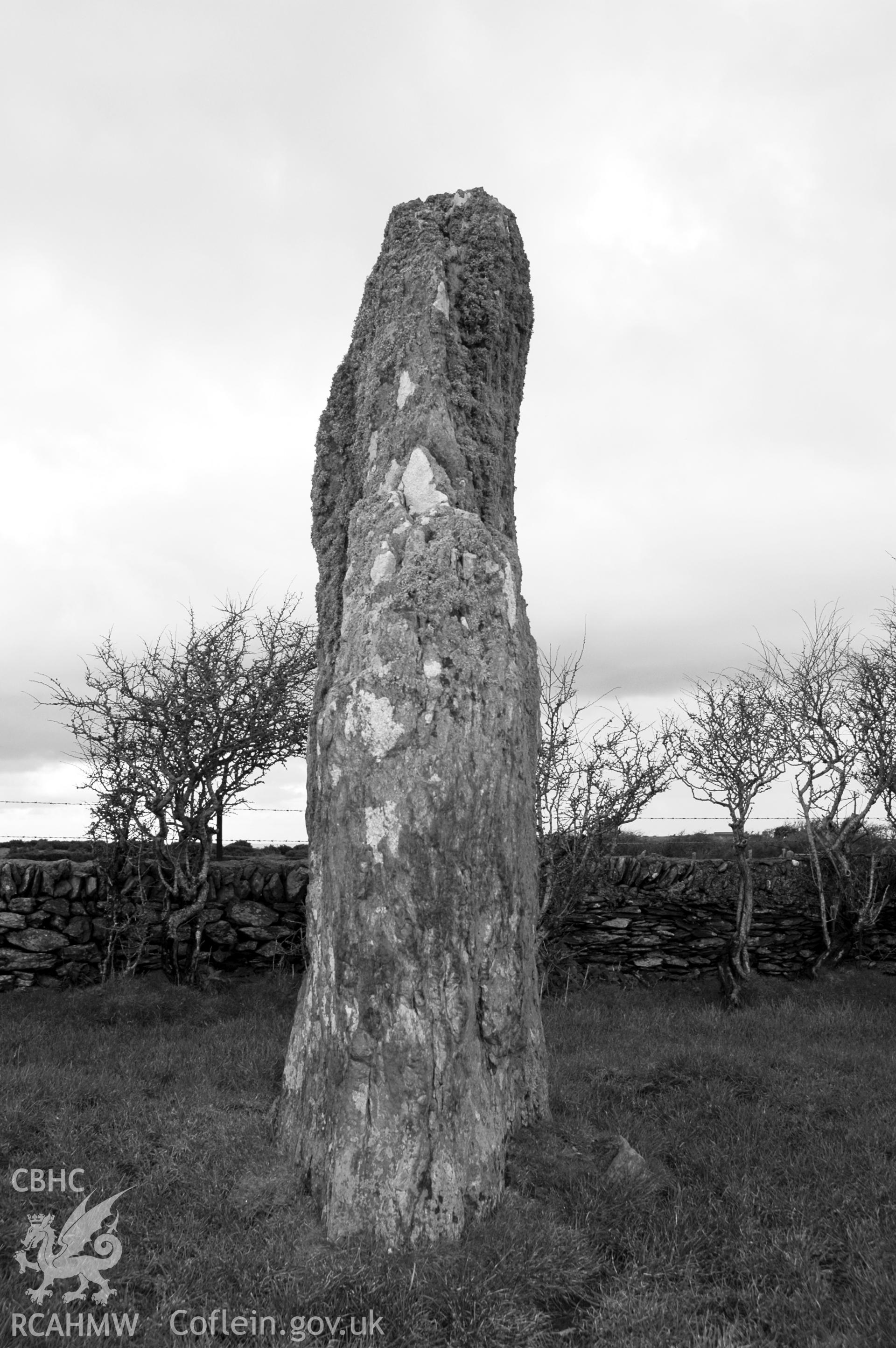 Werthyr Standing Stone from south-west.