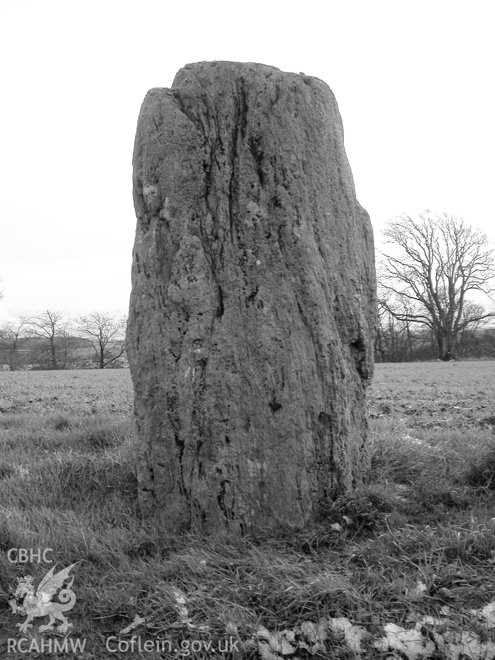 Cremlyn South Standing Stone, from north.