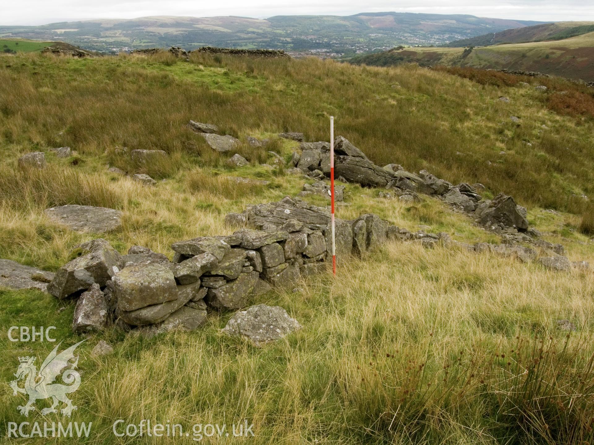 view looking E of drystone wall projecting from NW side of fold.