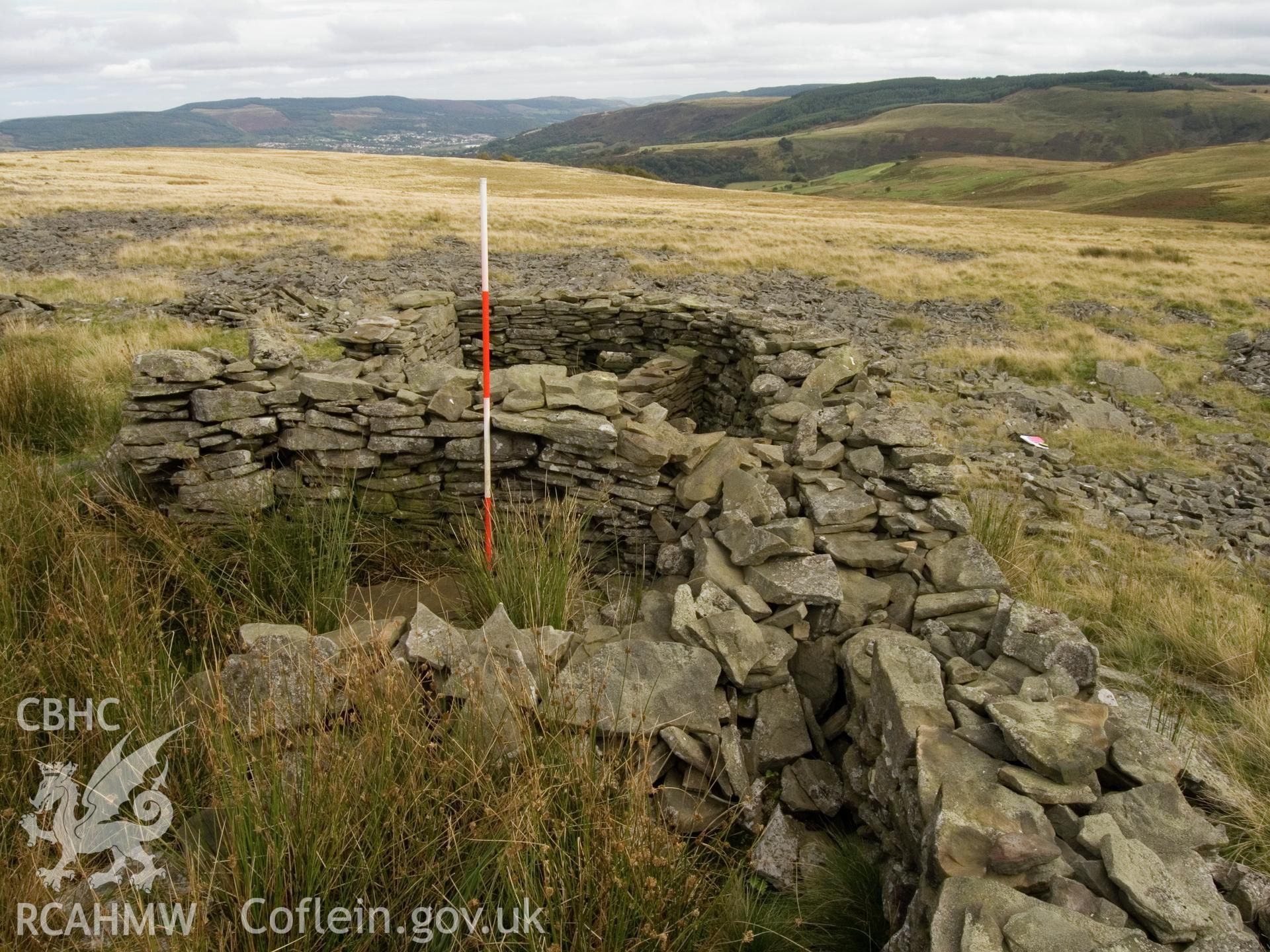 view looking E of small cells on SE side of sheepfold.