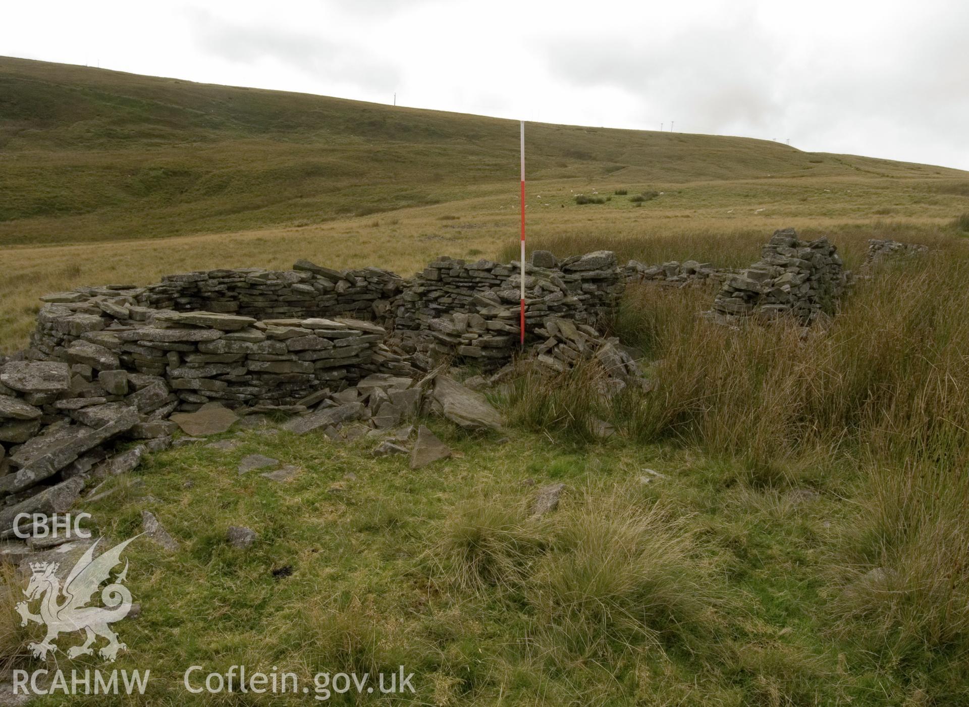 view looking S of sub-divided cells on S side of sheepfold.