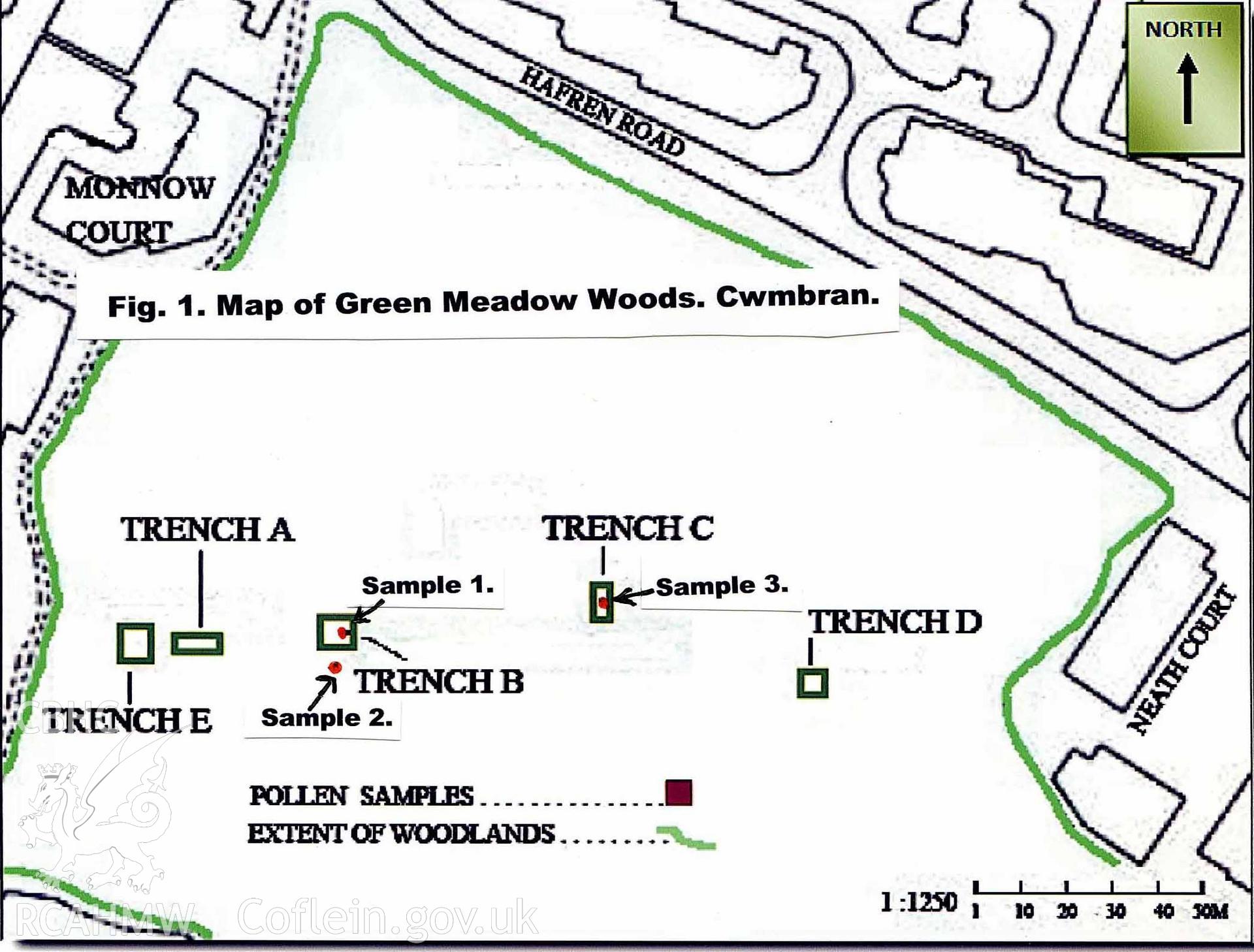 Digital site plan relating to a report entitled 'Microscopic examination of samples taken from the ?Holy Well? in Green Meadow Woods. Cwmbran. September 2011'.