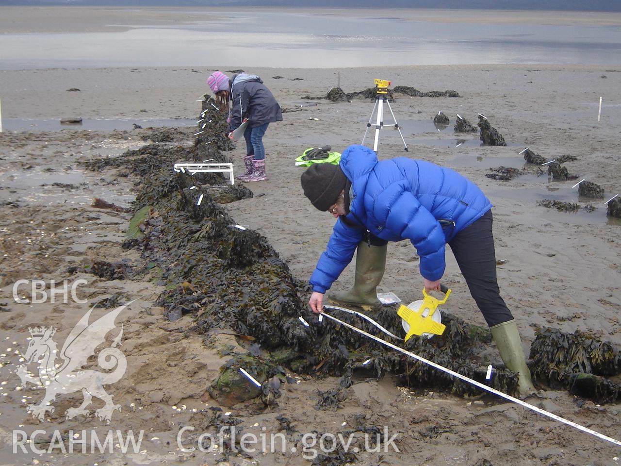 Digital photograph showing unnamed wreck at Ynyslas, taken by Ian Cundy, February 2011.