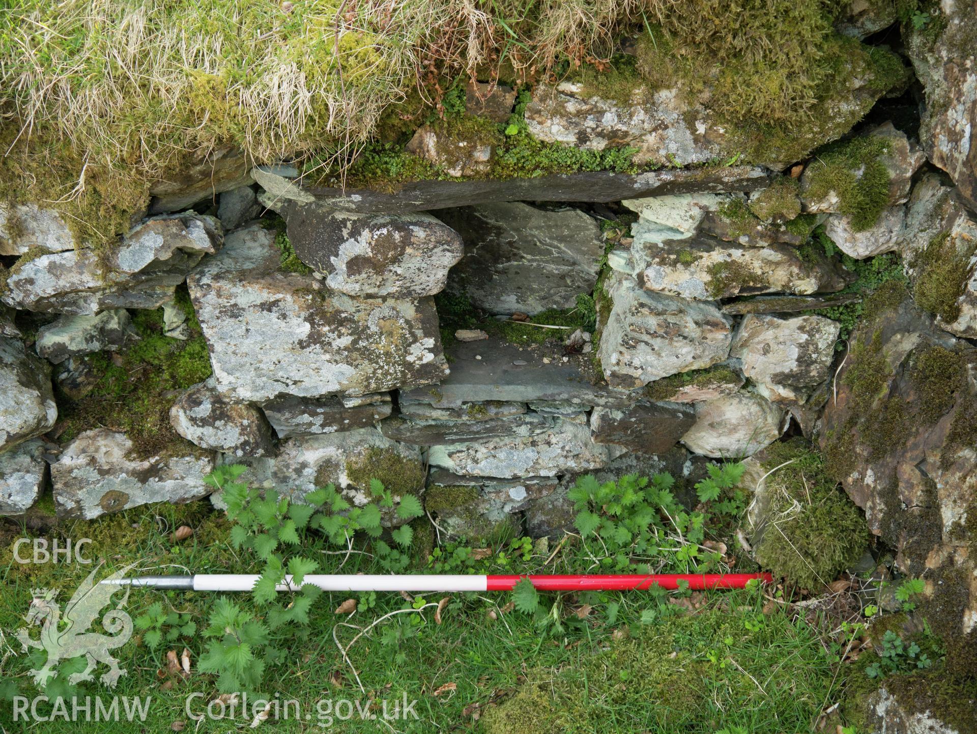 view showing beebole in garden wall.