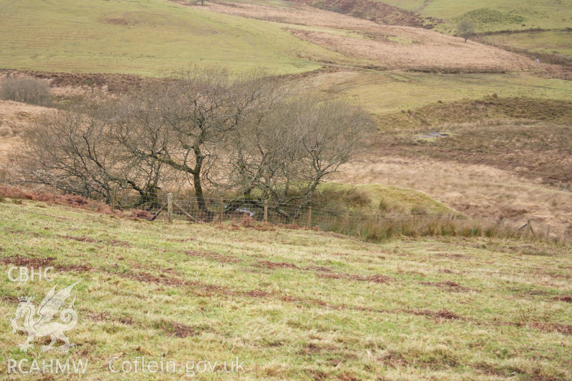 Digital colour photograph of Nant-y-Brain adit taken on 03/03/2008 by D.E. Schlee during the Llyn Brianne Upland Survey undertaken by Dyfed Archaeological Trust.