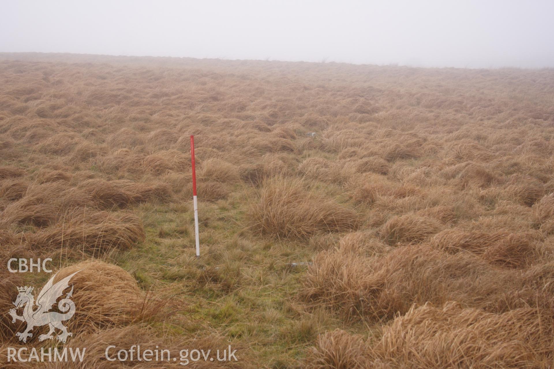 Digital colour photograph of Carn Twrch long hut taken on 03/03/2008 by D.E. Schlee during the Llyn Brianne Upland Survey undertaken by Dyfed Archaeological Trust.