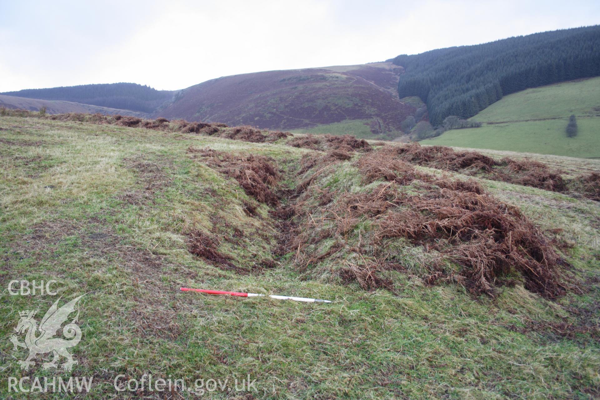 Digital colour photograph of a bank at Esgair Nant-y-Brain taken on 03/03/2008 by D.E. Schlee during the Llyn Brianne Upland Survey undertaken by Dyfed Archaeological Trust.