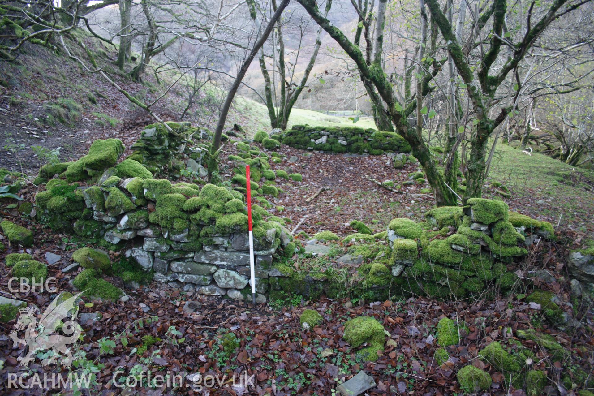 Digital colour photograph of Nant-y-Caws cottage taken on 03/03/2008 by D.E. Schlee during the Llyn Brianne Upland Survey undertaken by Dyfed Archaeological Trust.