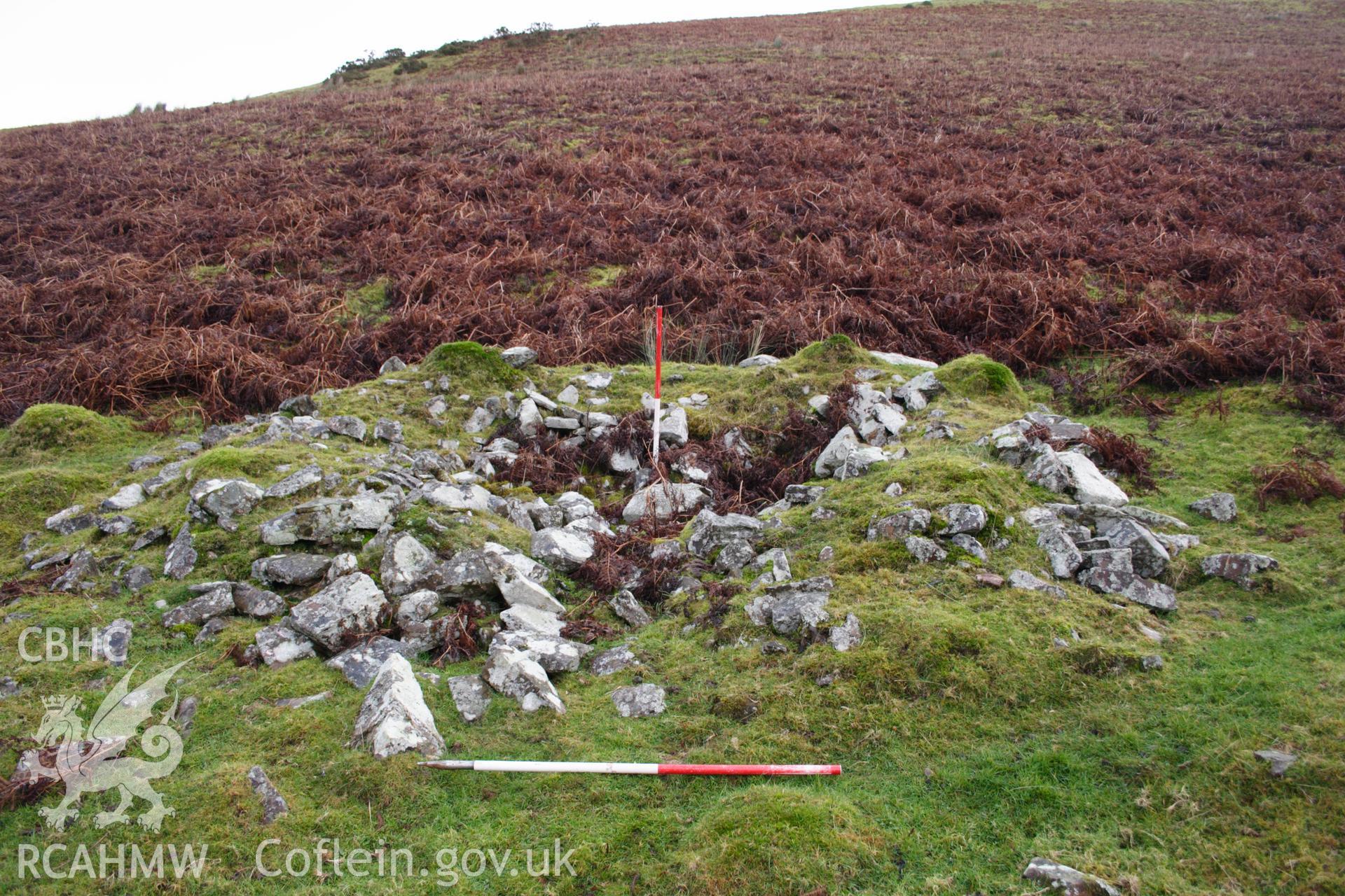 Digital colour photograph of Nant-y-Brain building taken on 03/03/2008 by D.E. Schlee during the Llyn Brianne Upland Survey undertaken by Dyfed Archaeological Trust.