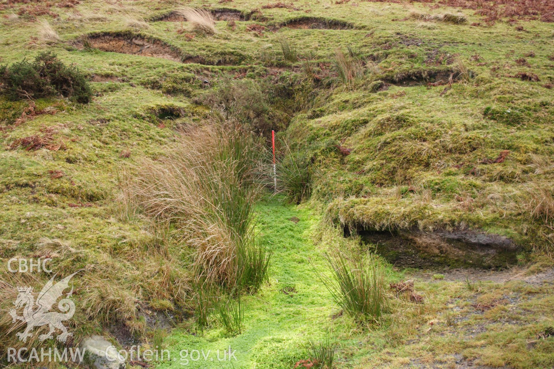 Digital colour photograph of Nant-y-Brain adit taken on 03/03/2008 by D.E. Schlee during the Llyn Brianne Upland Survey undertaken by Dyfed Archaeological Trust.