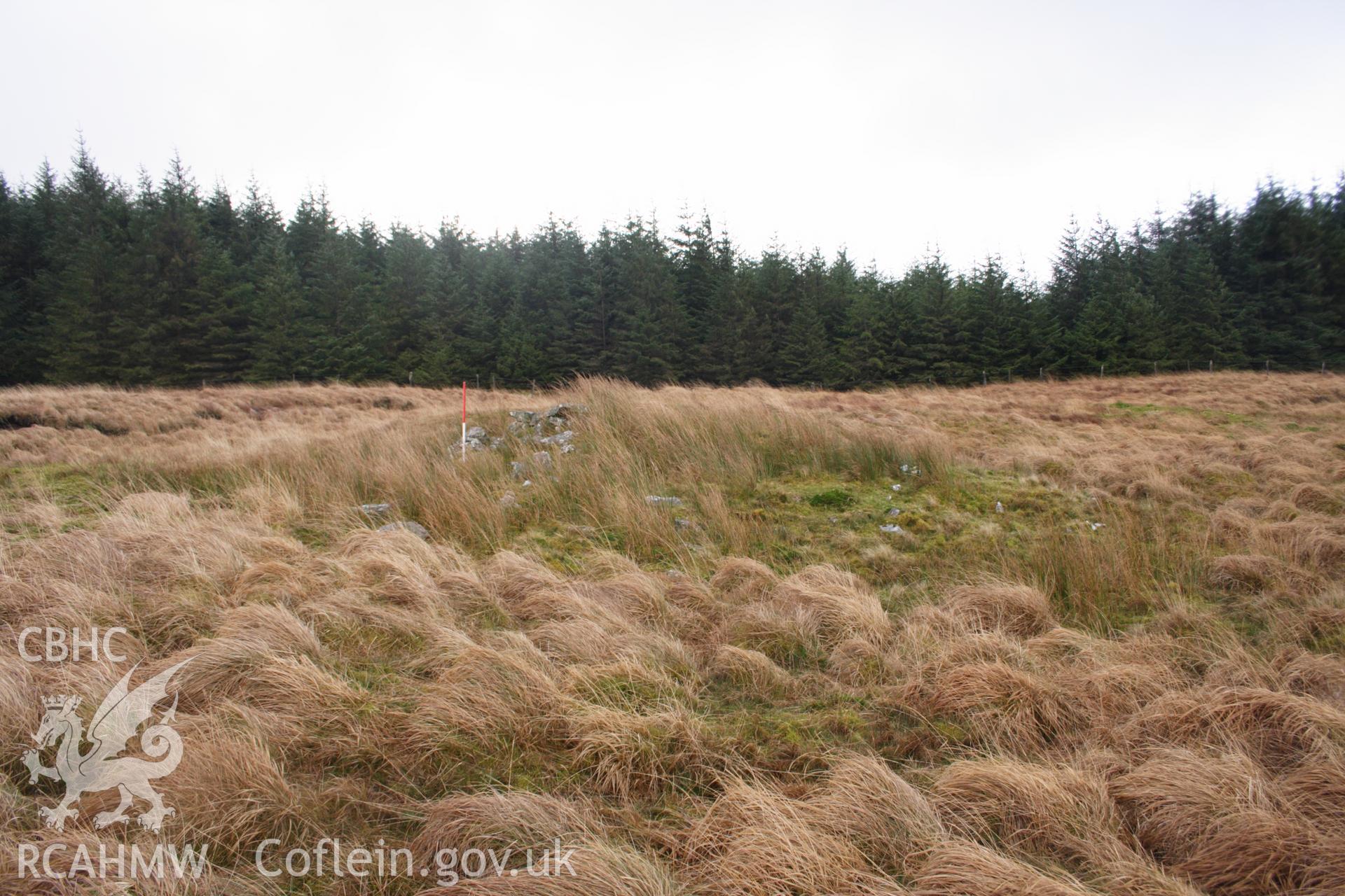 Digital colour photograph of a cairn at Mynydd Trawsnant taken on 03/03/2008 by D.E. Schlee during the Llyn Brianne Upland Survey undertaken by Dyfed Archaeological Trust.