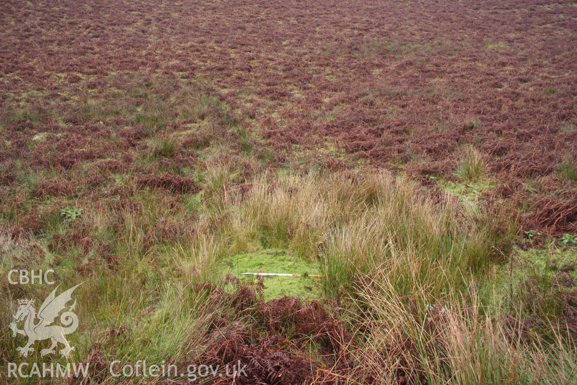 Digital colour photograph of Nant Bai enclosure taken on 03/03/2008 by D.E. Schlee during the Llyn Brianne Upland Survey undertaken by Dyfed Archaeological Trust.