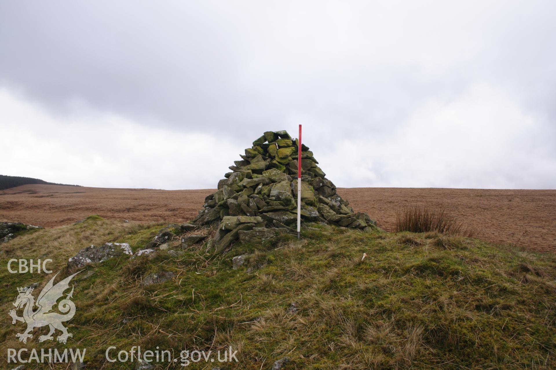 Digital colour photograph of a cairn at Cefn Blaencwmhenog taken on 03/03/2008 by D.E. Schlee during the Llyn Brianne Upland Survey undertaken by Dyfed Archaeological Trust.