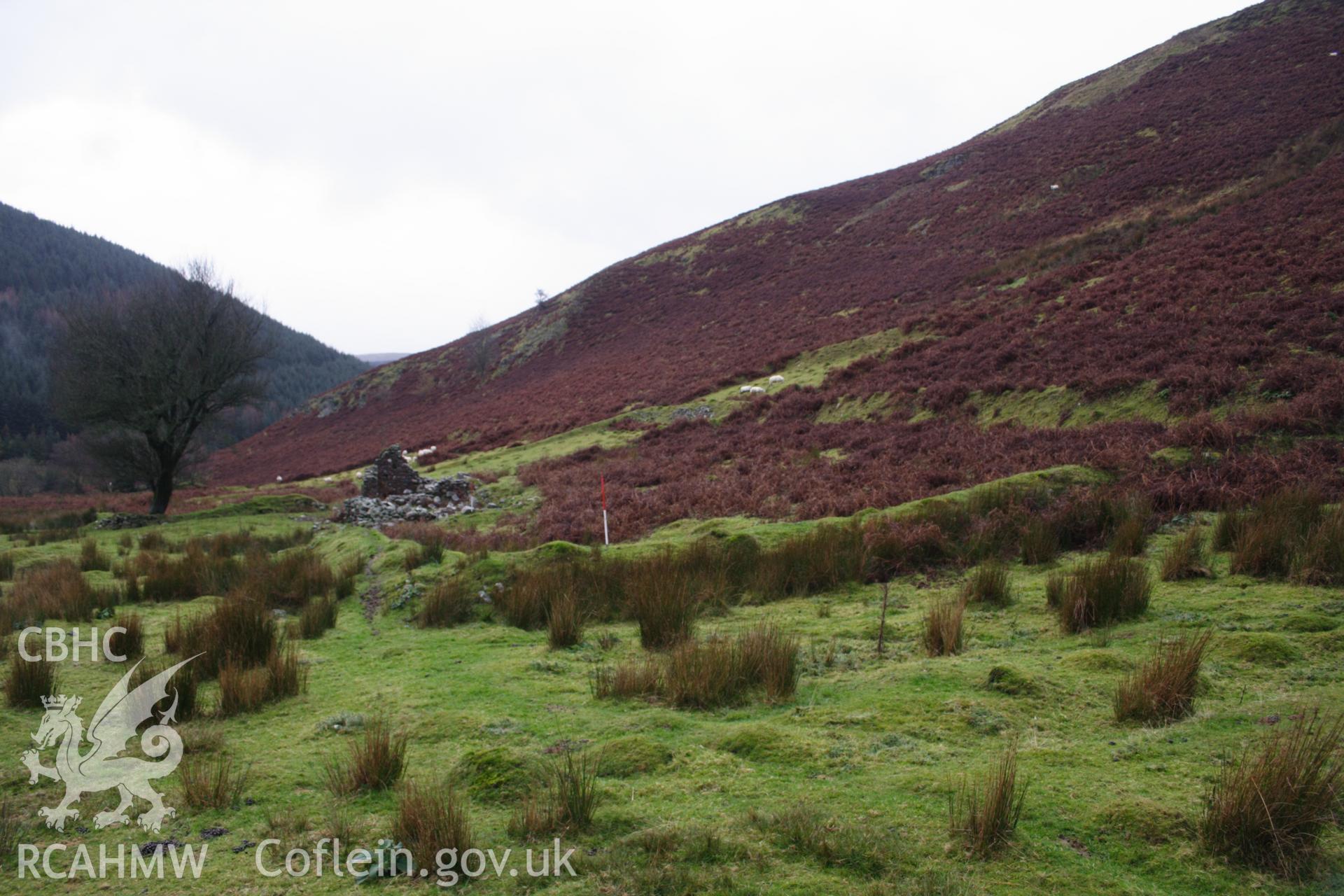 Digital colour photograph of cultivation ridges at White Hall Uchaf taken on 03/03/2008 by D.E. Schlee during the Llyn Brianne Upland Survey undertaken by Dyfed Archaeological Trust.