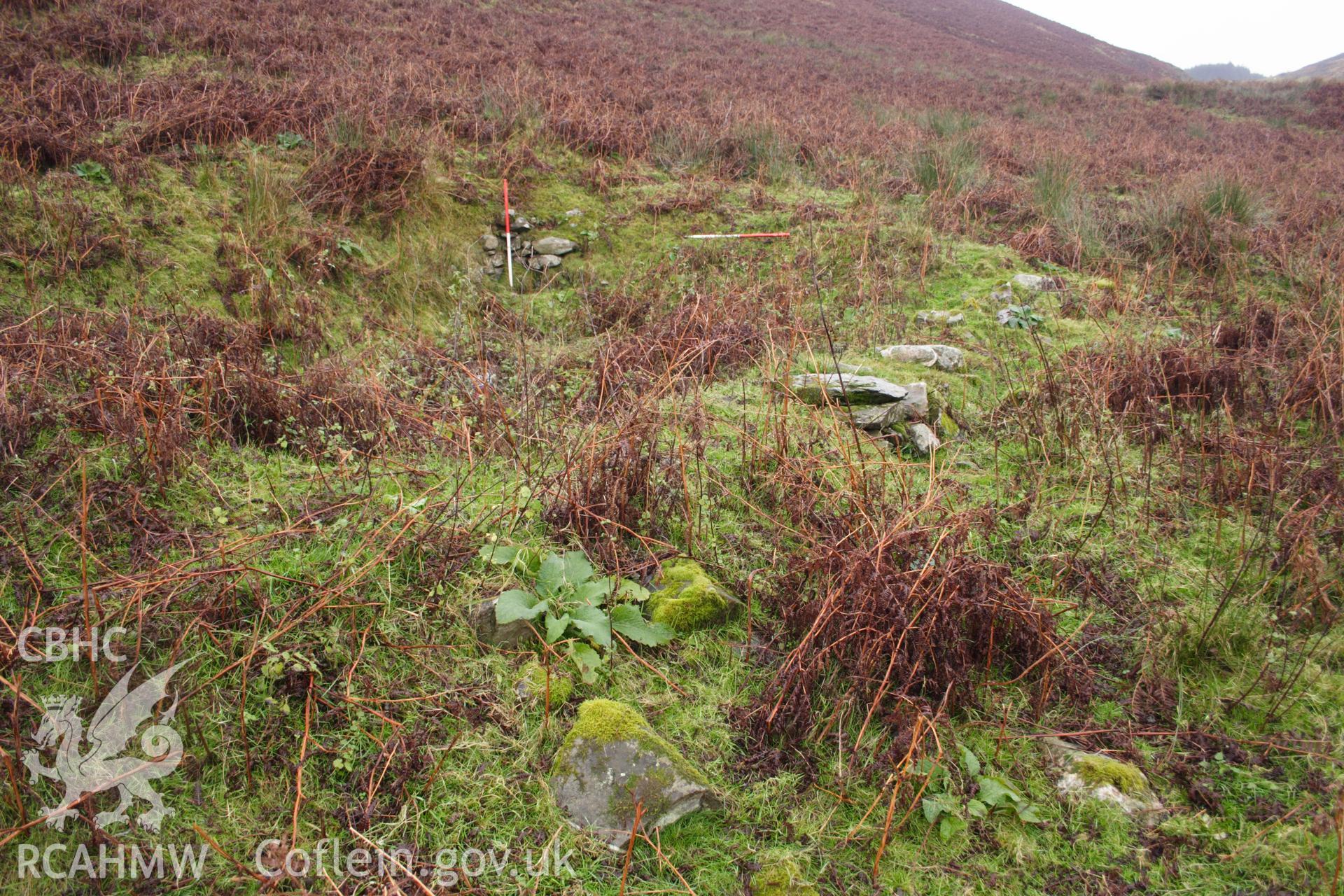 Digital colour photograph of Nant Bai long hut taken on 03/03/2008 by D.E. Schlee during the Llyn Brianne Upland Survey undertaken by Dyfed Archaeological Trust.