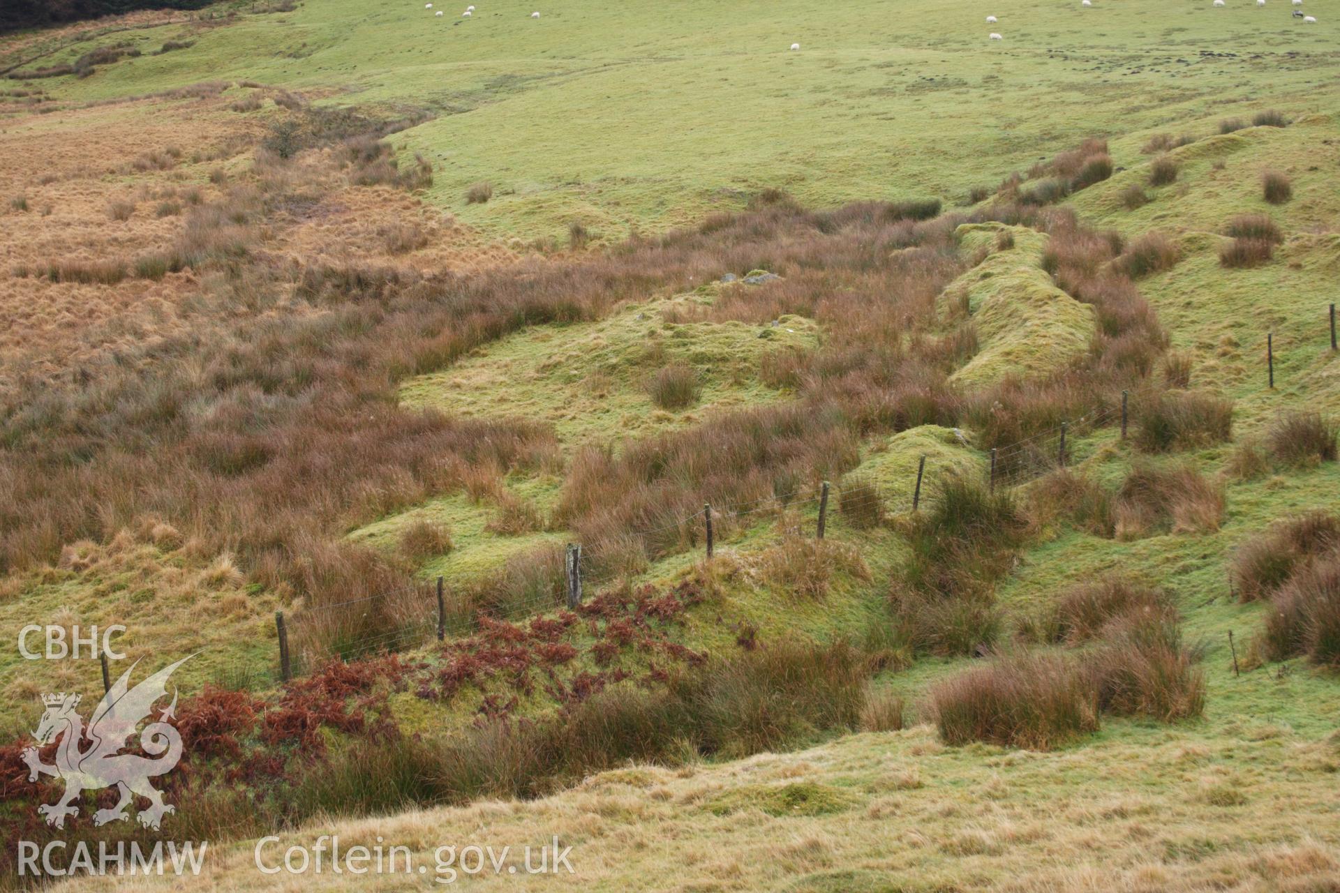 Digital colour photograph of a bank at Trawsnant taken on 03/03/2008 by D.E. Schlee during the Llyn Brianne Upland Survey undertaken by Dyfed Archaeological Trust.