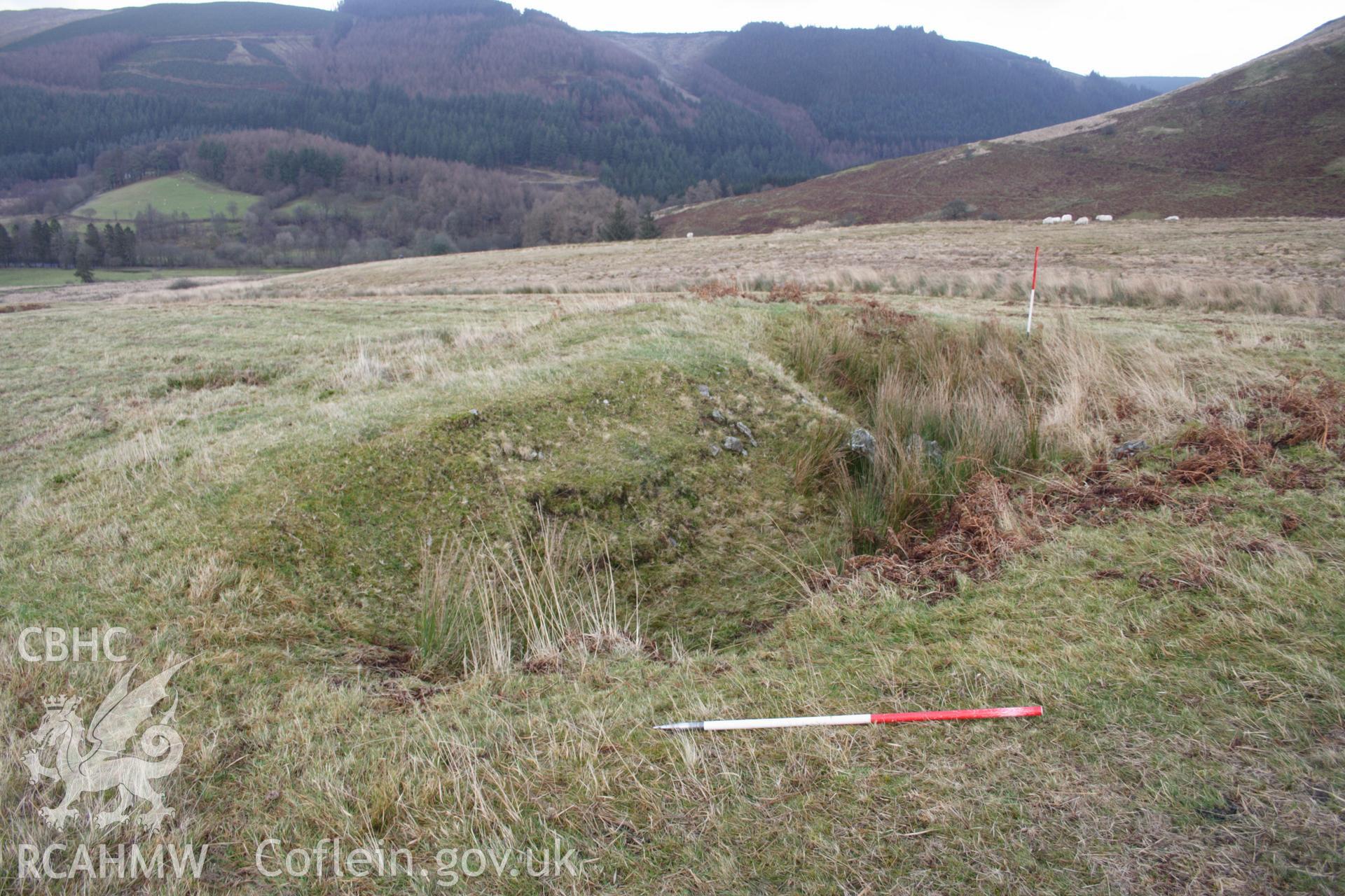 Digital colour photograph of Esgair Nant-y-Brain taken on 03/03/2008 by D.E. Schlee during the Llyn Brianne Upland Survey undertaken by Dyfed Archaeological Trust.