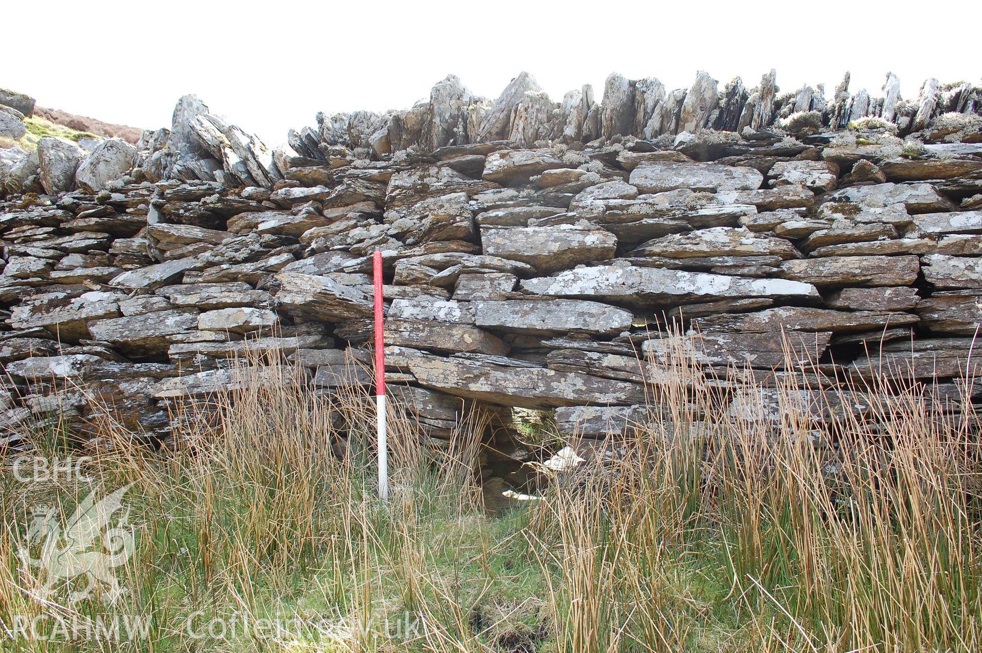 Sheep creep in mountain wall, Nant y Benglog, from N. Scale 1m (Kenney, J, 21/05/2013)