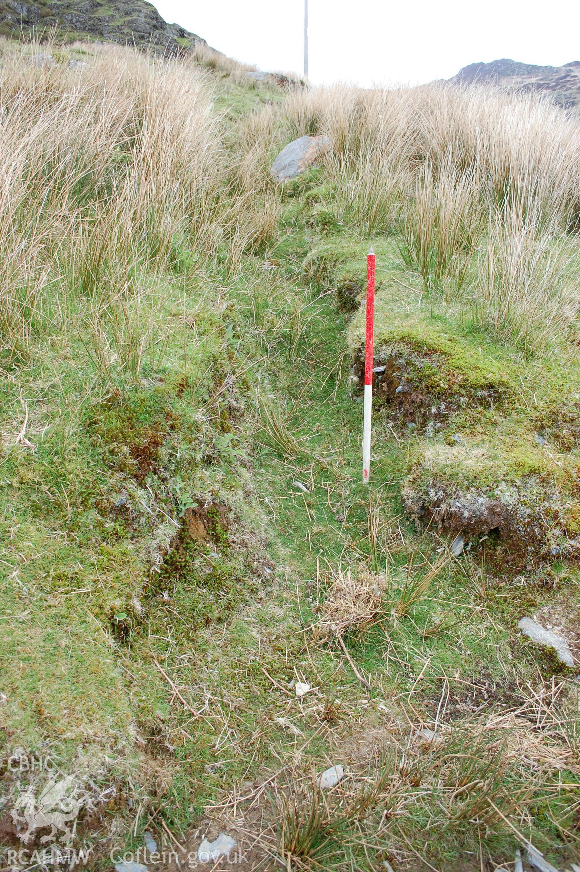 Drainage channel, W of Gelli, from S. (Kenney, J, 20/05/2013)