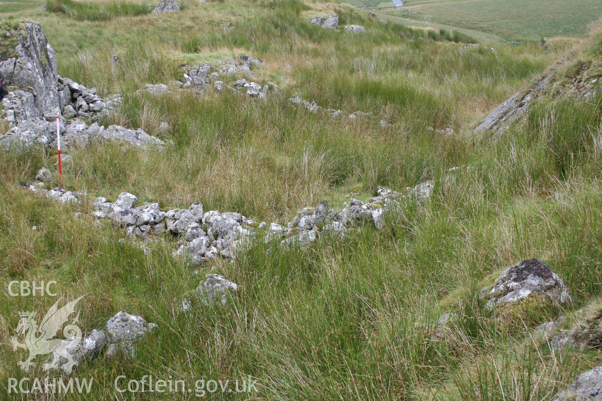 Digital Colour photograph of Ffridd Craig Henllan sheep fold I taken on 31/07/2008 by P.J. Schofield during the Arenig Fach Upland Survey undertaken by Oxford Archaeology North.