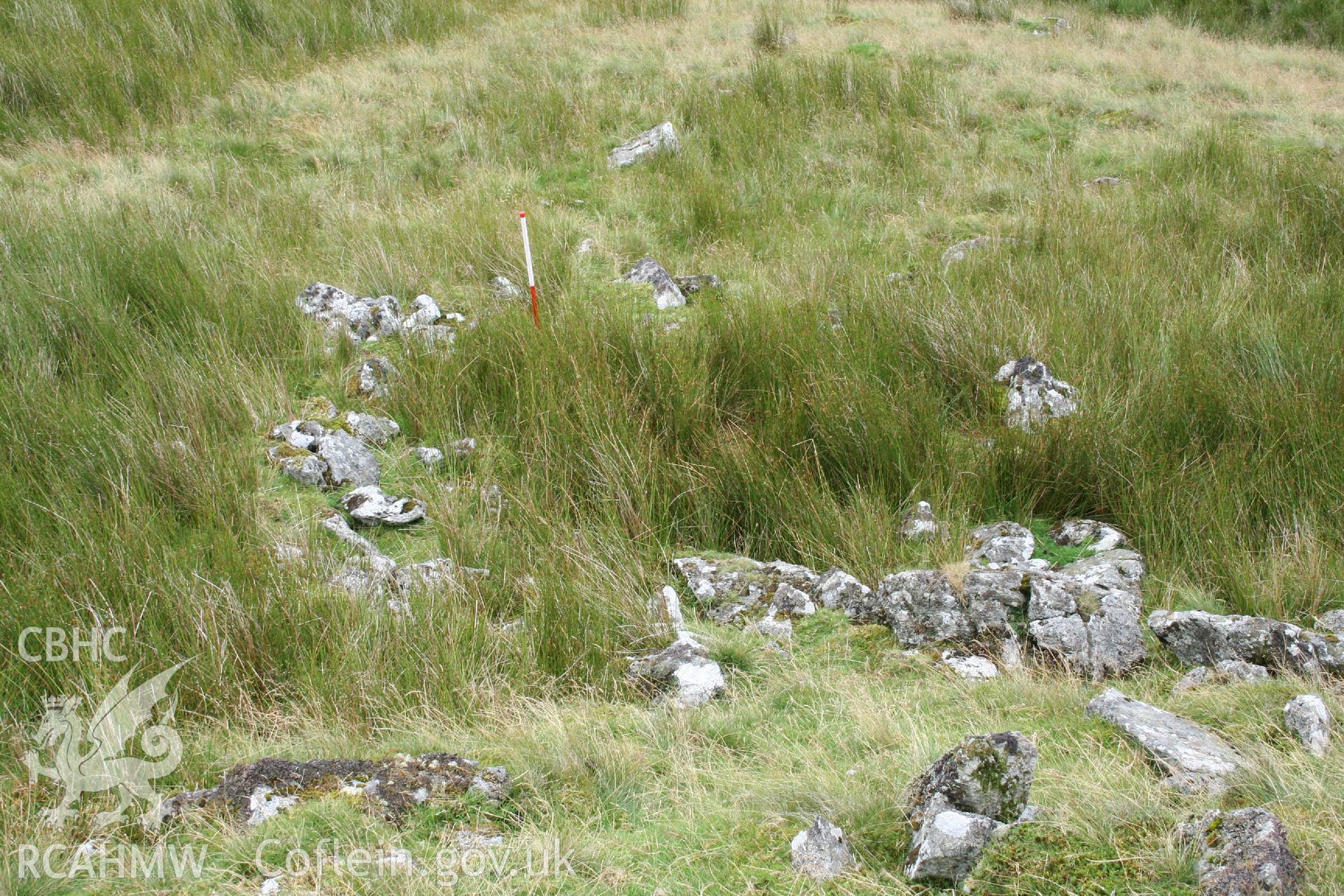 Digital Colour photograph of Craig Henllan hafod I taken on 31/07/2008 by P.J. Schofield during the Arenig Fach Upland Survey undertaken by Oxford Archaeology North.