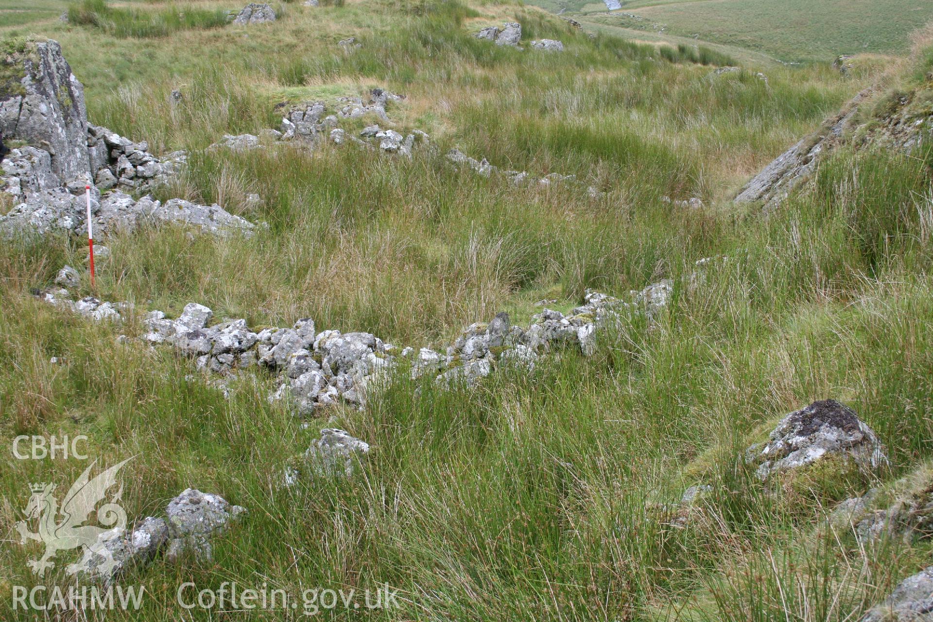 Digital Colour photograph of Ffridd Craig Henllan sheep fold I taken on 31/07/2008 by P.J. Schofield during the Arenig Fach Upland Survey undertaken by Oxford Archaeology North.