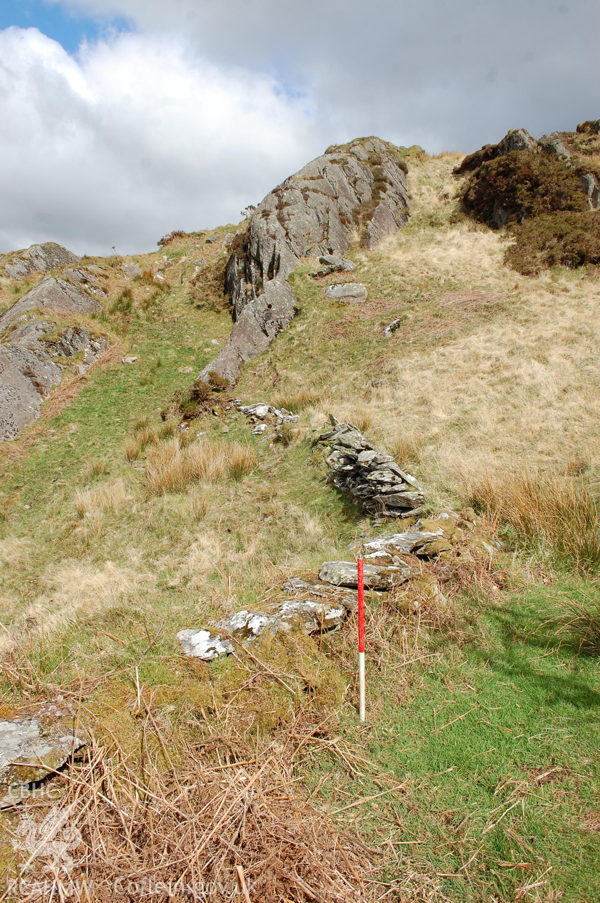 Field wall, NE of Bron Heulog, from SE. Scale 1m (Kenney, J, 24/05/2013)