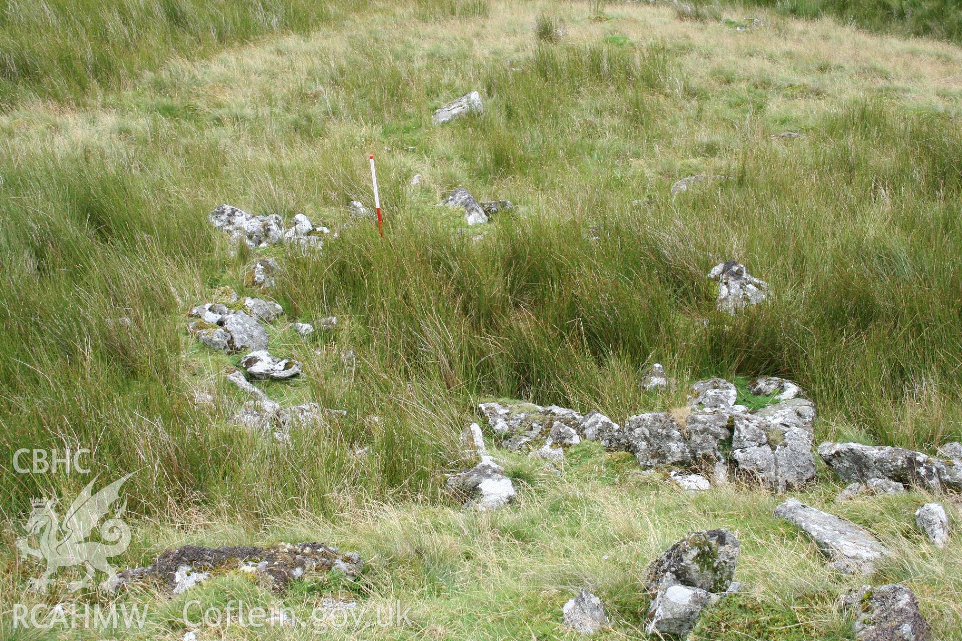 Digital Colour photograph of Craig Henllan hafod I taken on 31/07/2008 by P.J. Schofield during the Arenig Fach Upland Survey undertaken by Oxford Archaeology North.